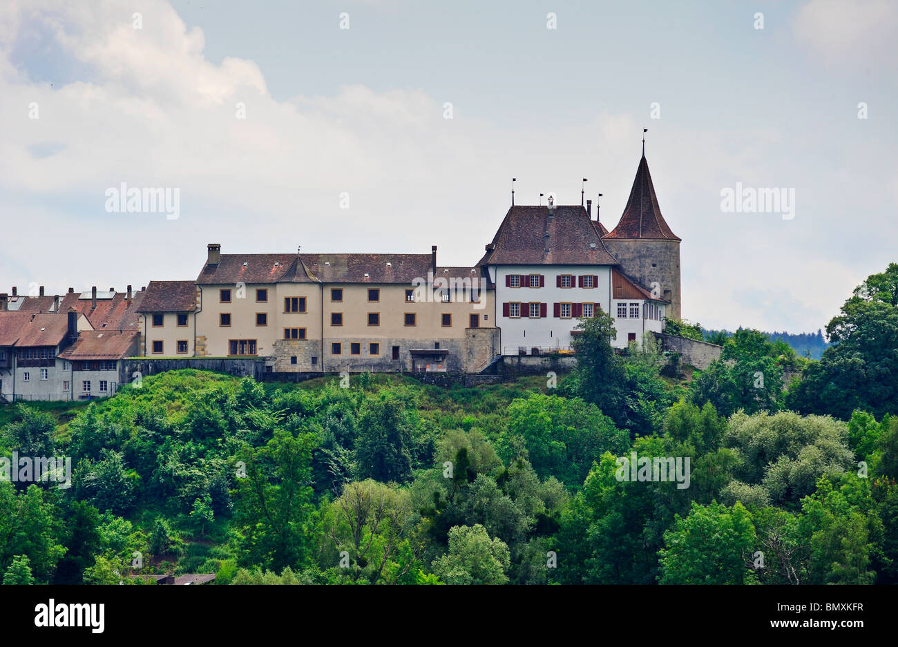 Il castello di Erlach, Canton Berna, Svizzera, come si vede dal Lac de Bienne (Bielersee) Foto Stock