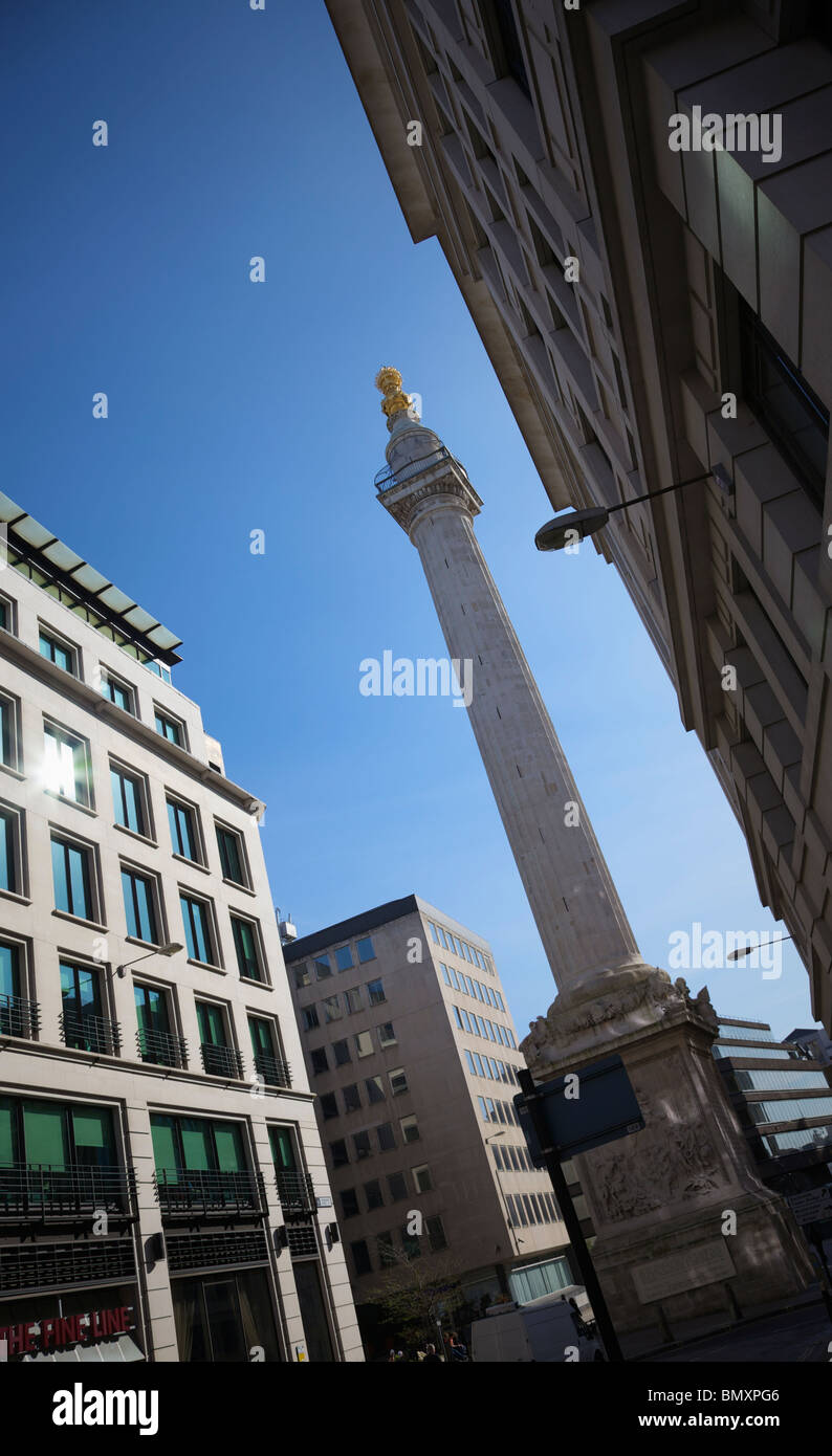 Il monumento, città di Londra, Regno Unito Foto Stock