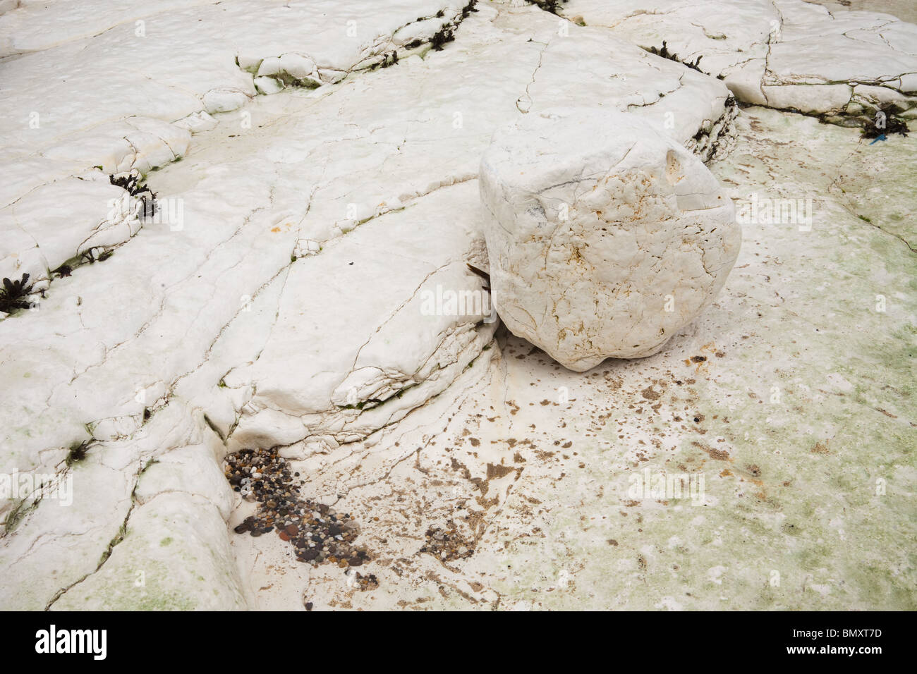 Chalk formazioni rocciose e bolders a Baia Selwicks Flamborough Head in East Yorkshire. Foto Stock