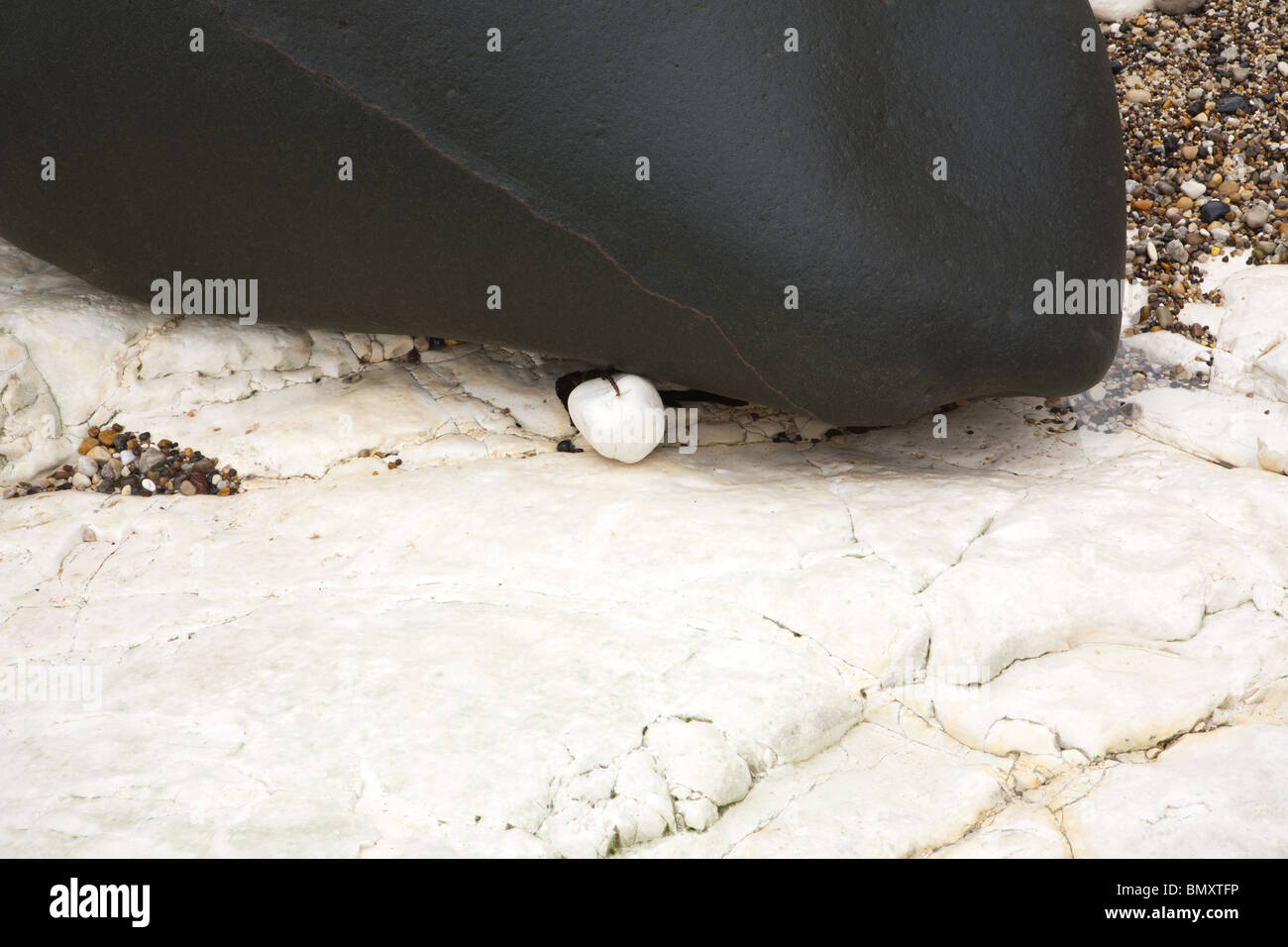 Chalk formazioni rocciose e bolders a Baia Selwicks Flamborough Head in East Yorkshire. Foto Stock