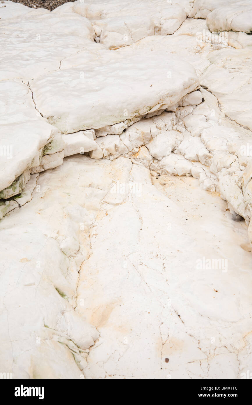 Chalk formazioni rocciose e bolders a Baia Selwicks Flamborough Head in East Yorkshire. Foto Stock