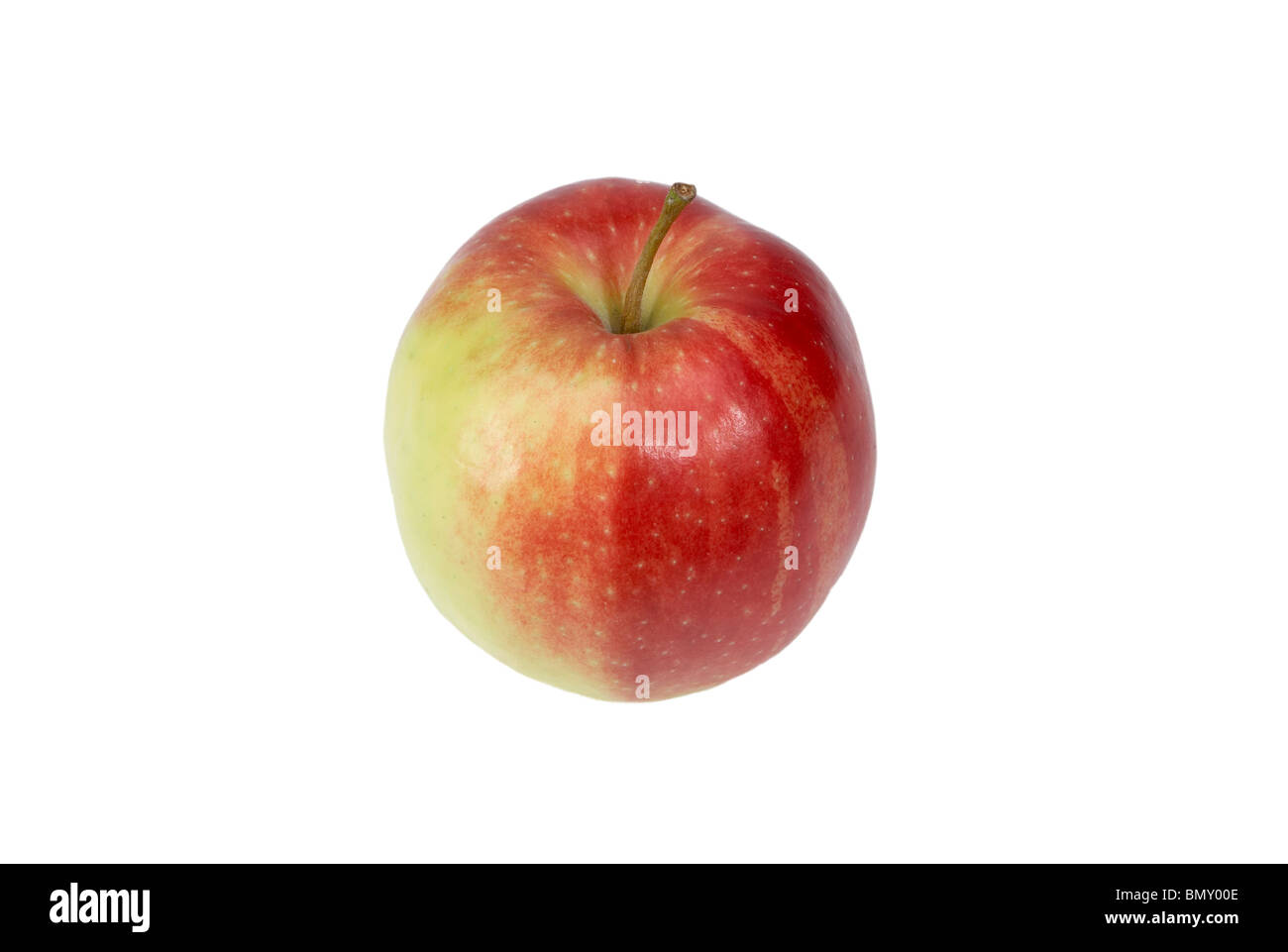 Un Jonagold apple Foto Stock