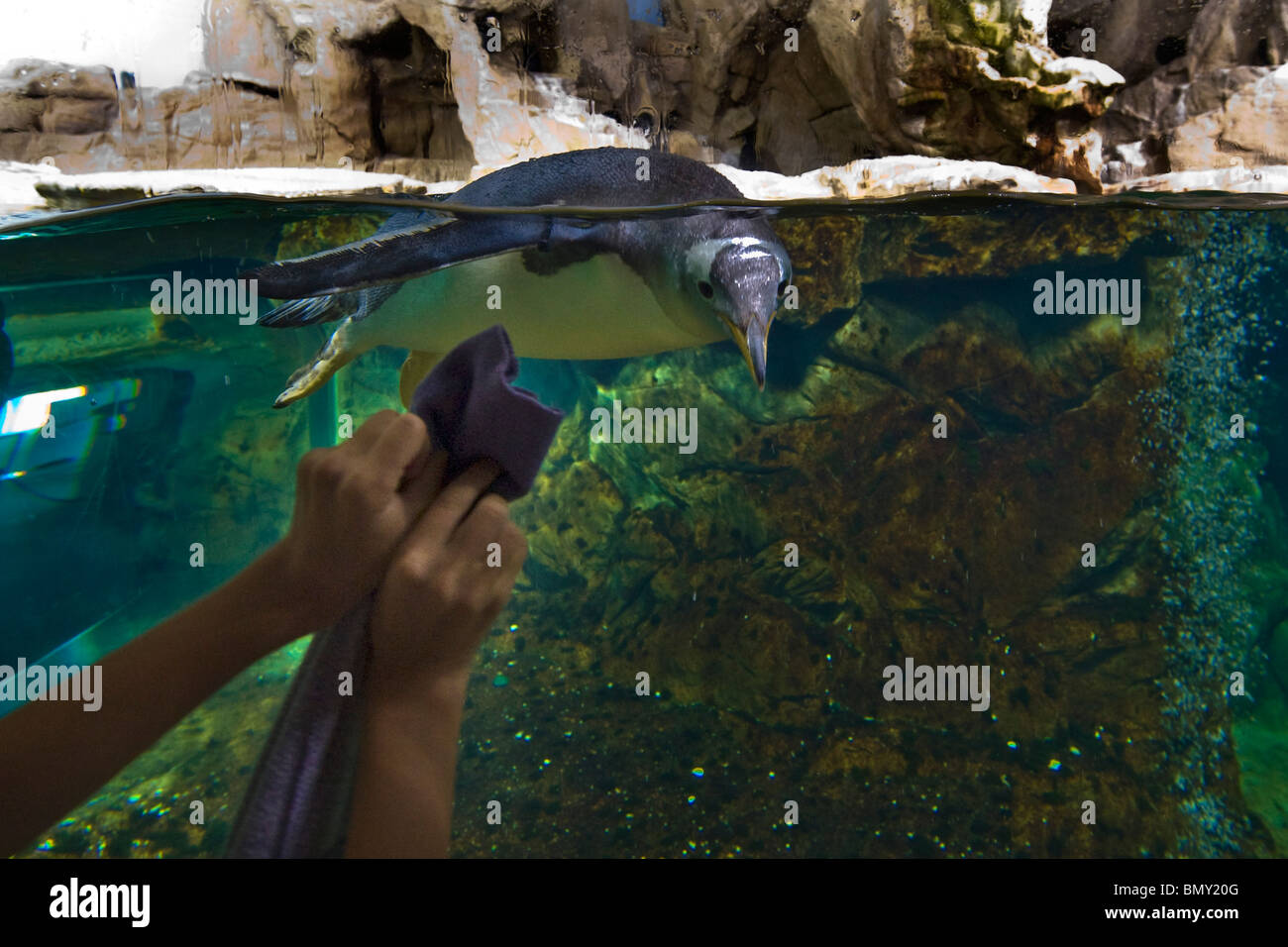 Aquaruim, Genova, Italia Foto Stock