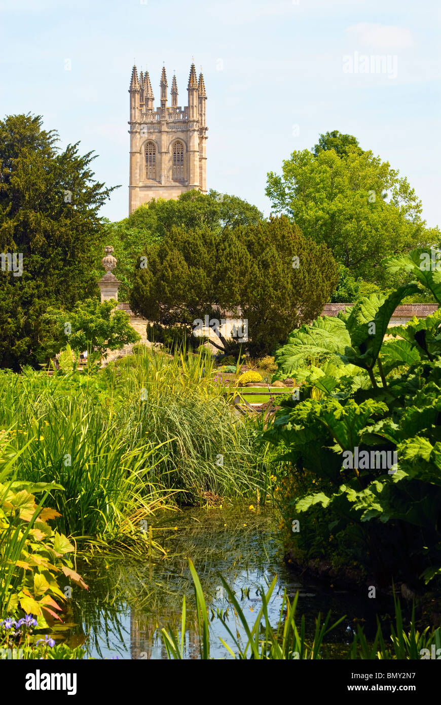 Un laghetto ornamentale nei Giardini Botanici, Oxford, Inghilterra, con la torre di Magdalen College in background Foto Stock