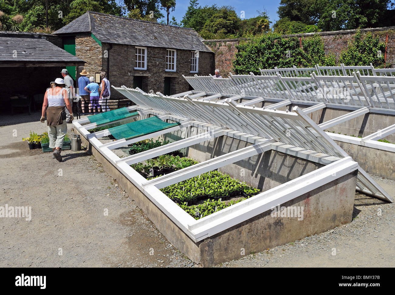 Il ' cantiere di melone ' a ' Lost Gardens of Heligan ' in cornwall, Regno Unito Foto Stock