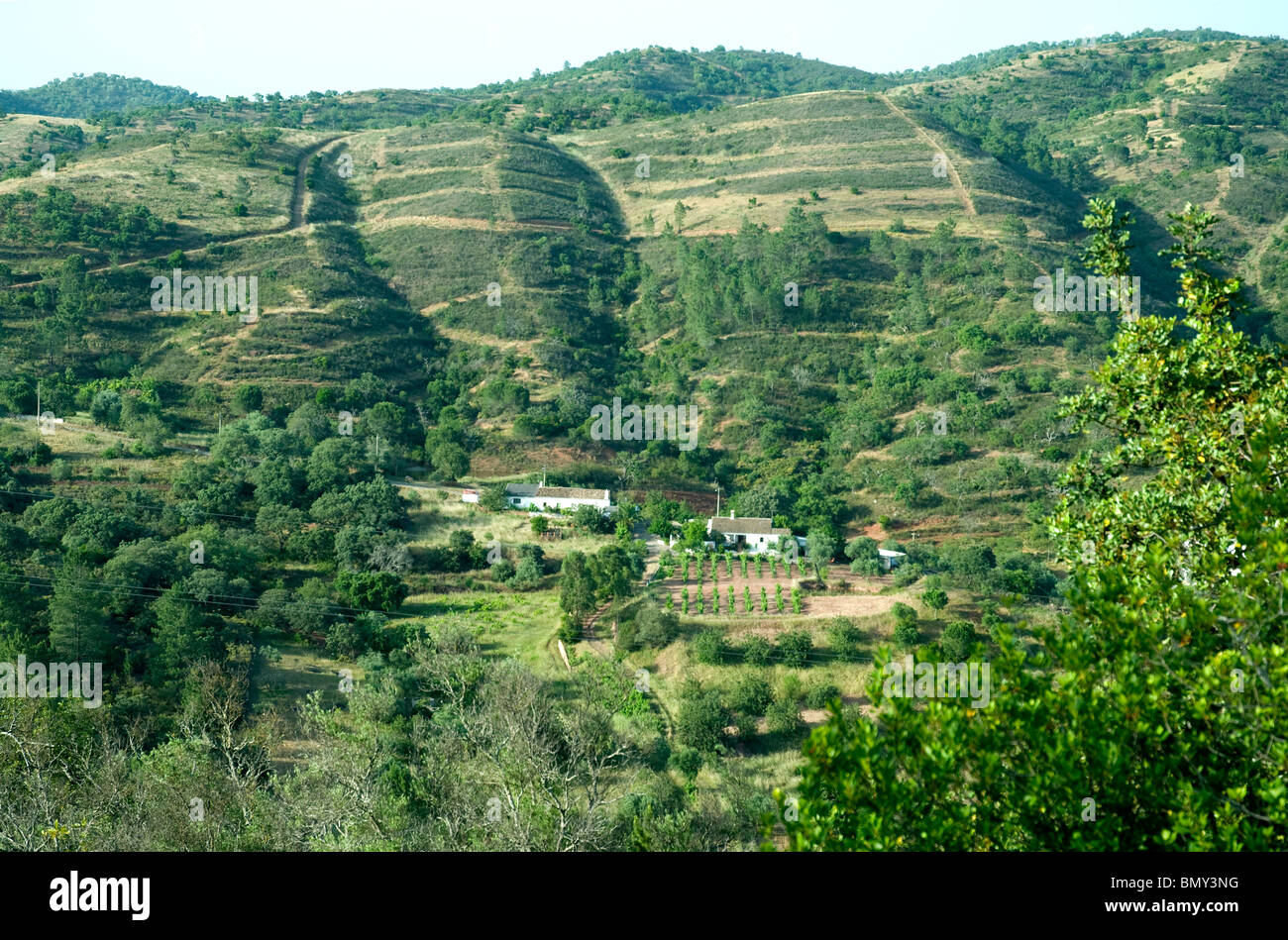 Dietro turistico-spiagge affollate e insolente sviluppi il Portogallo Algarve ha ancora, nel 2010, tranquillo paesaggio rurale Foto Stock