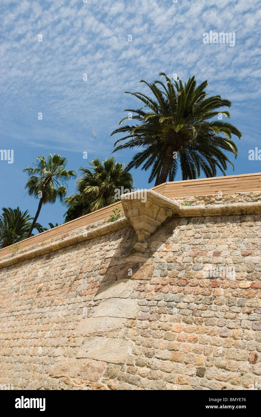 Muralla. CARTAGENA CIUDAD Regione Murcia España parete città di Cartagena Murcia Regione SPAGNA Foto Stock