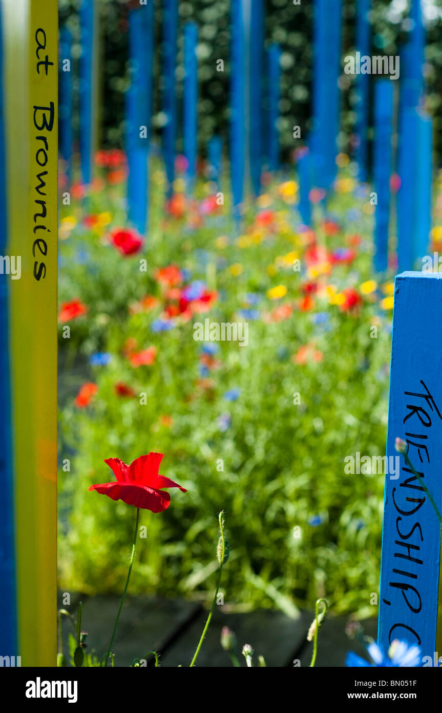 "Un bastone in tempo', ragazza guidare Staffordshire spettacolo al giardino dei giardinieri del mondo Live 2010 presso il NEC di Birmingham Foto Stock