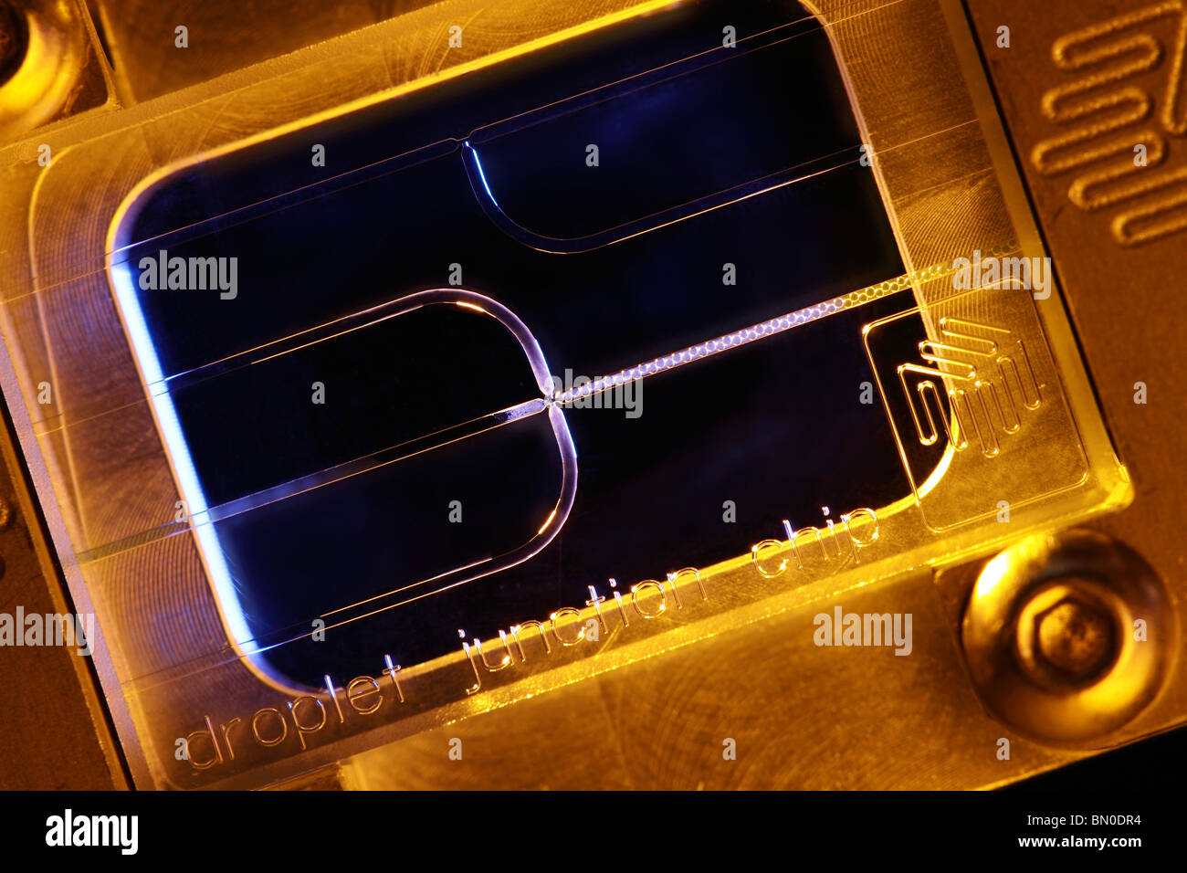 Attaccato microfluidico goccia di vetro chip di giunzione per mono dispersa la formazione di goccioline in micro e nano tecnologia applicazioni Foto Stock