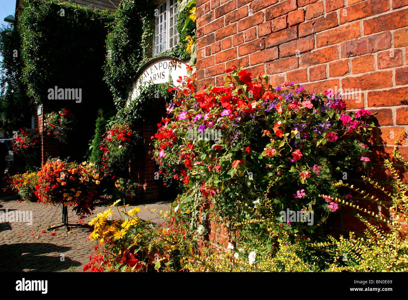 Regno Unito, Inghilterra, Cheshire, Stockport, Woodford, Davenport Arms Pub (ladro il collo) display floreale attorno allo sportello Foto Stock