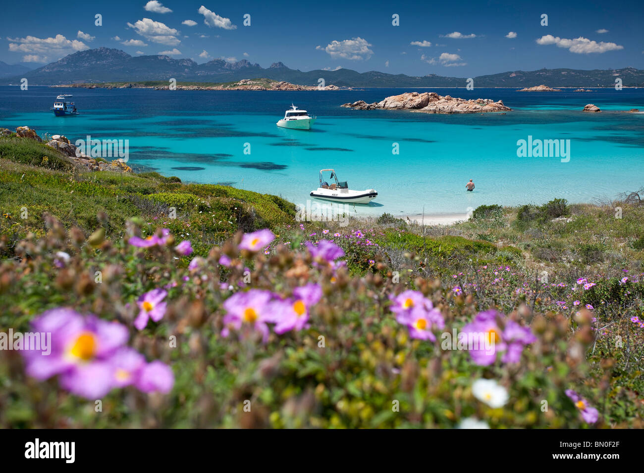 Isola di Mortorio Island, Parco Nazionale Arcipelago di La Maddalena, La Maddalena, Arzachena, Sardegna, Italia, Europa Foto Stock