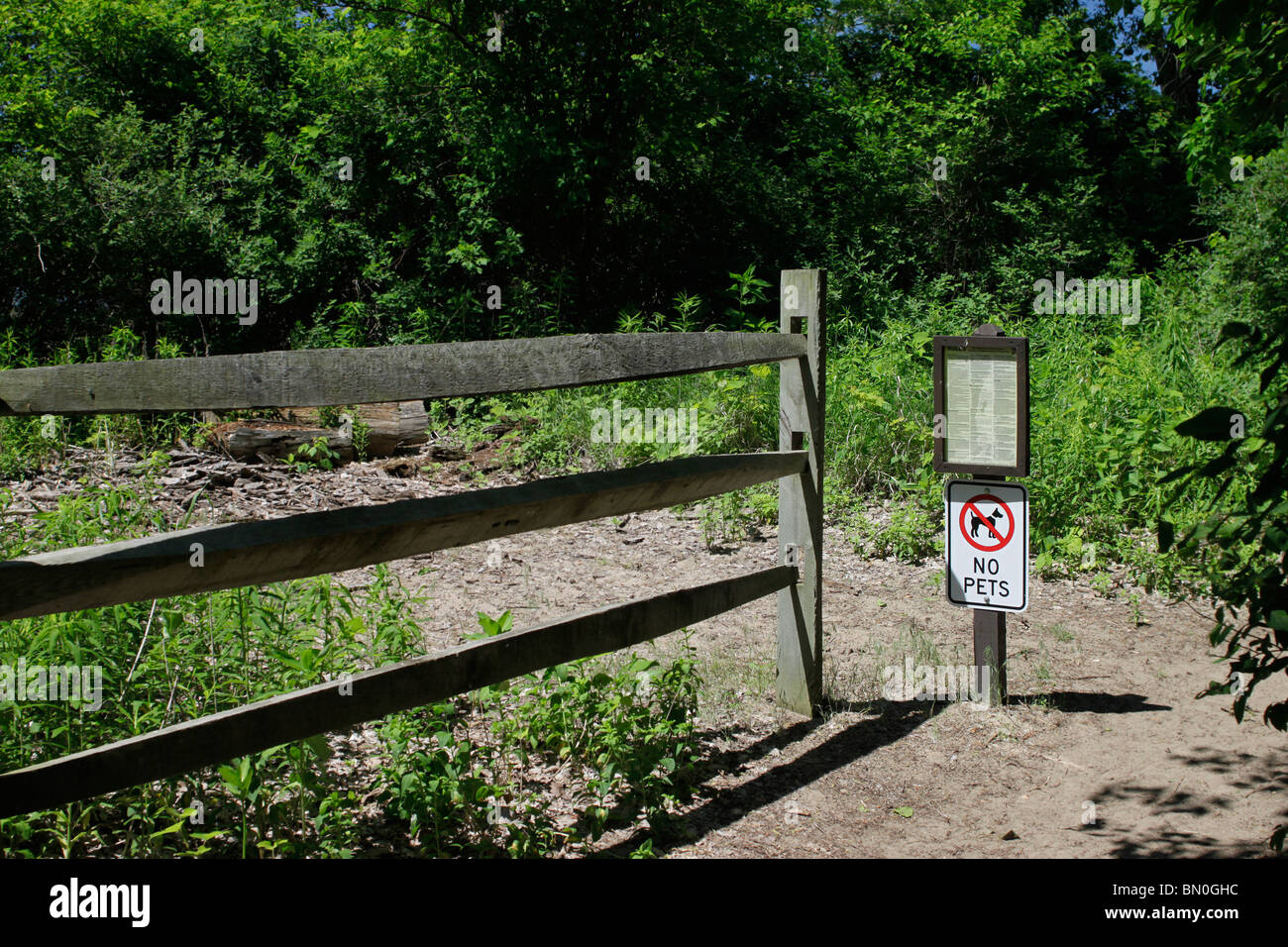 Promontori Dunes State Nature Preserve, animali domestici non ammessi. Foto Stock