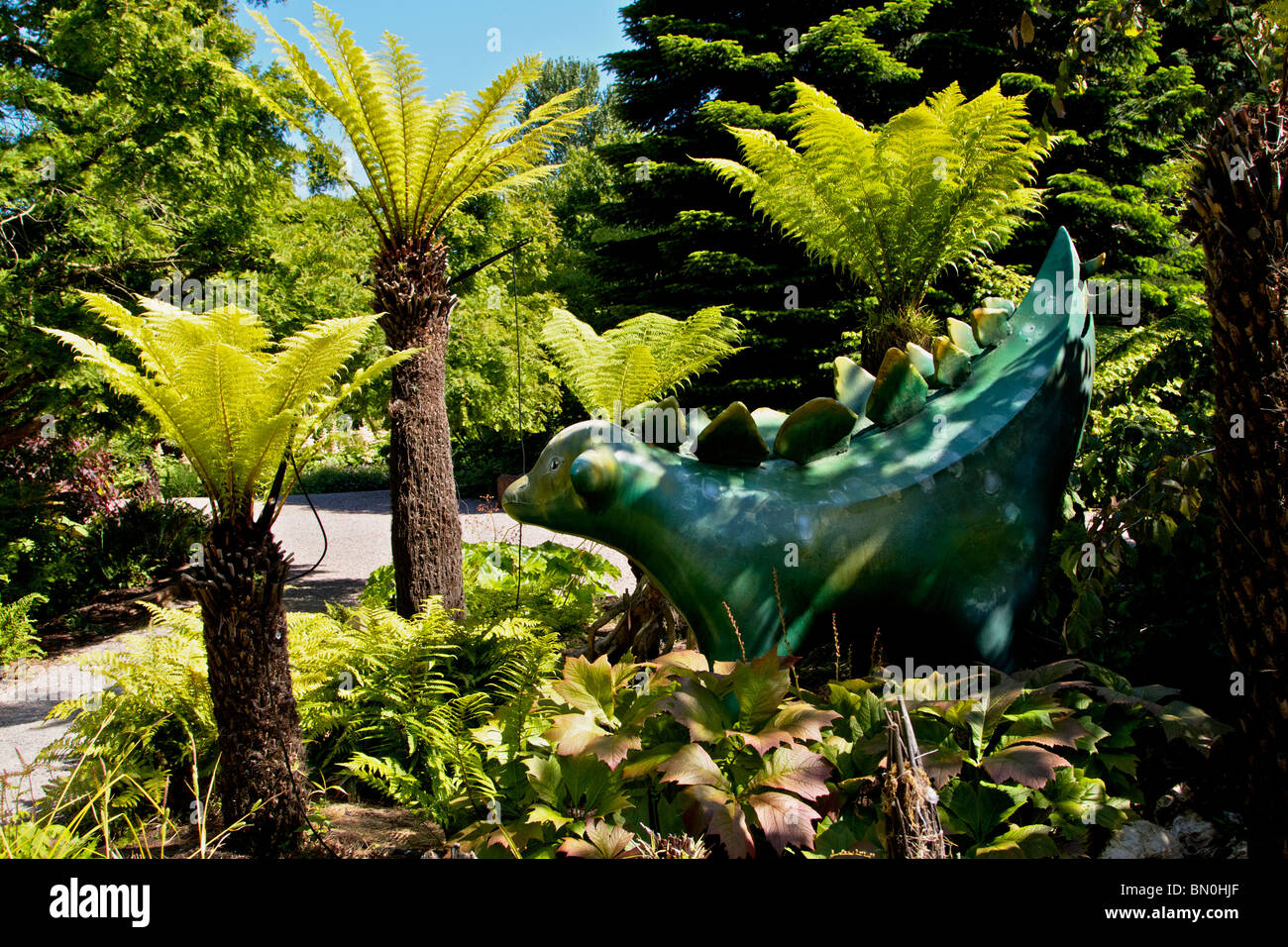 Superlambanana amonst felci e fogliame a Ness Giardini Botanici Foto Stock
