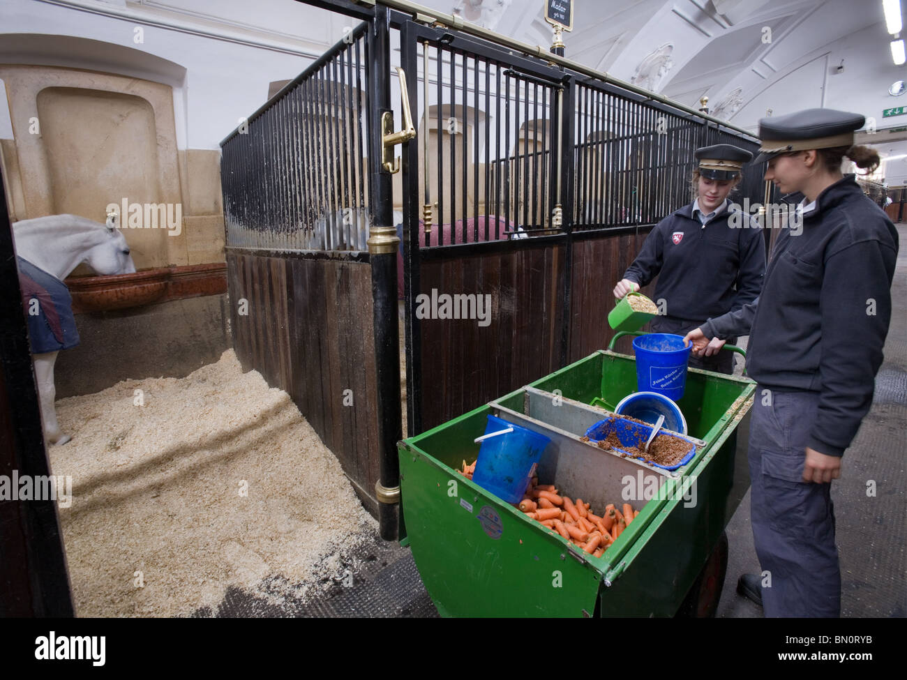 A cavallo del tempo di alimentazione presso la Scuola Spagnola di equitazione maneggio a Vienna, Austria Foto Stock