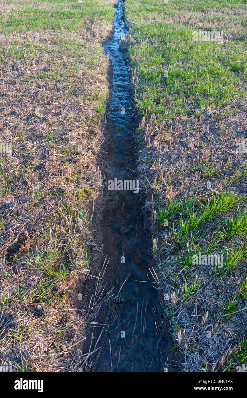 Una stretta di acqua corrente del fiume attraversando un prato verde paesaggio del campo. Foto Stock