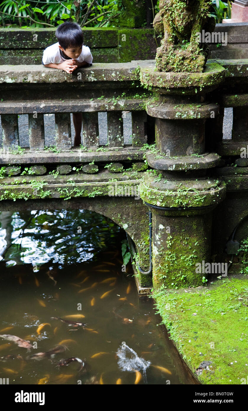 Agung Rai Museum o arma non è solo un museo ma un centro per le arti di Ubud Foto Stock