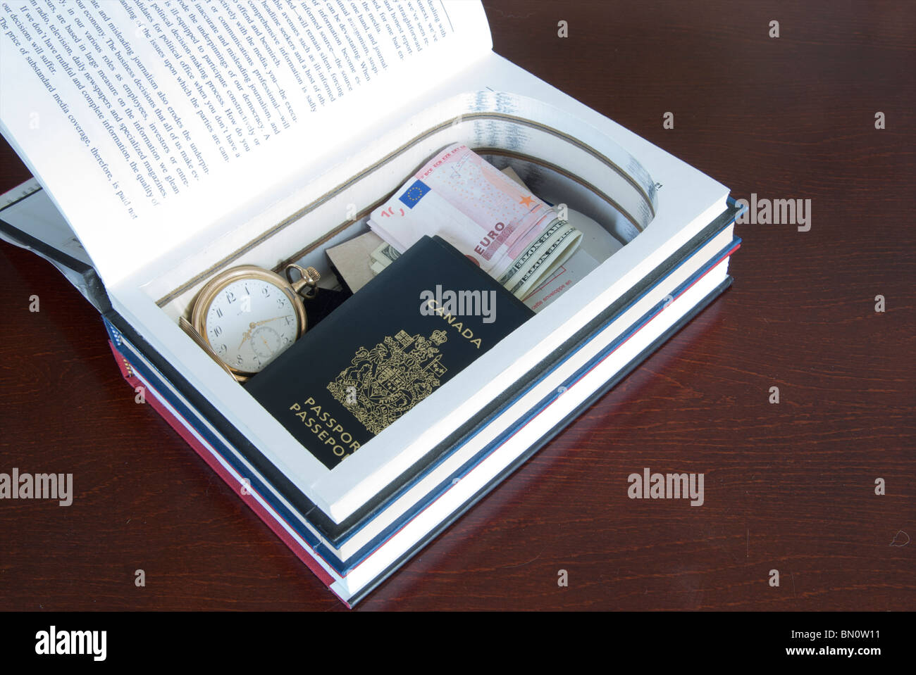 Cash passaporto, nascosto in un piccolo libro cassaforte Foto