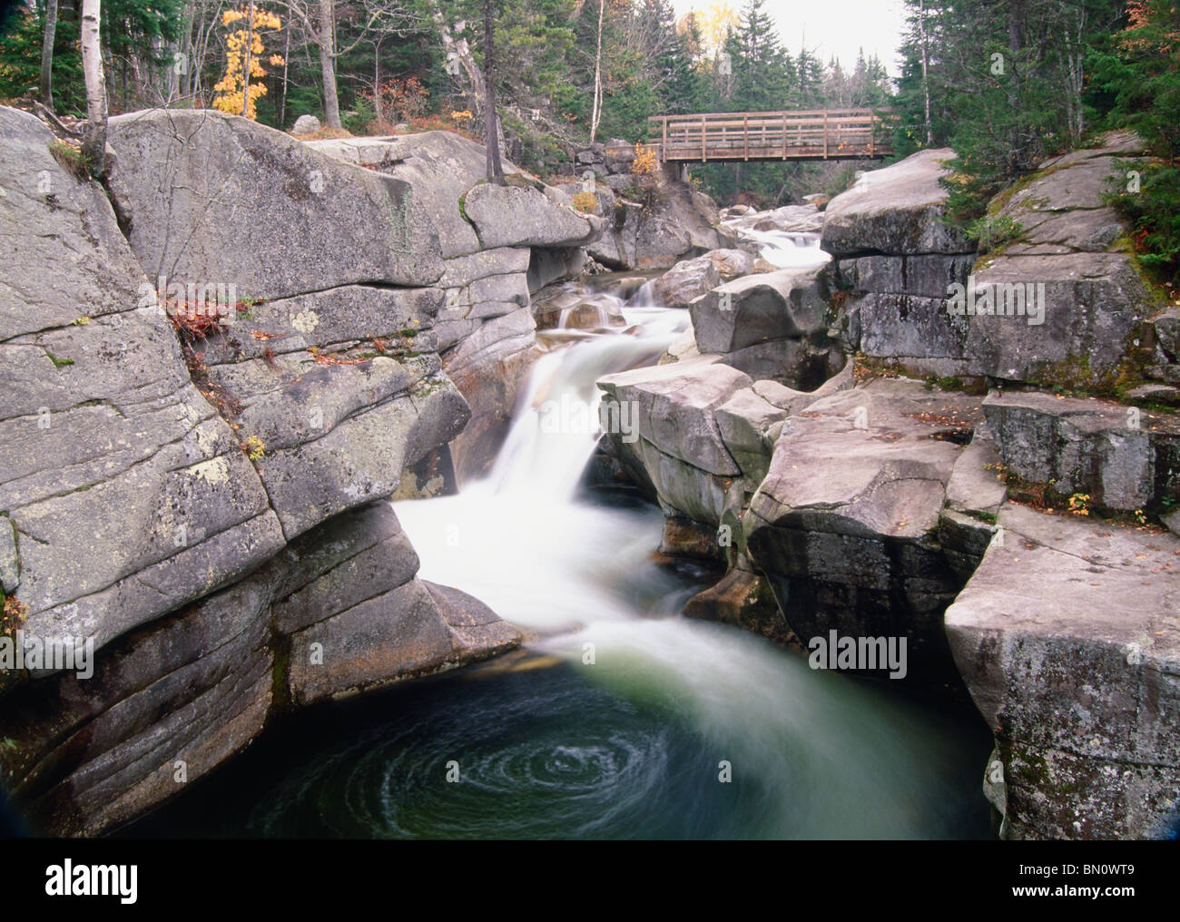Cascate del Fiume Ammonoosuc, Bianco Mts National Forest, New Hampshire Foto Stock