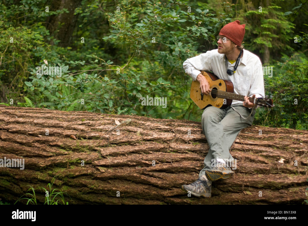 Camping musicisti suonare la chitarra e cantare una melodia in Redwoods Foto Stock