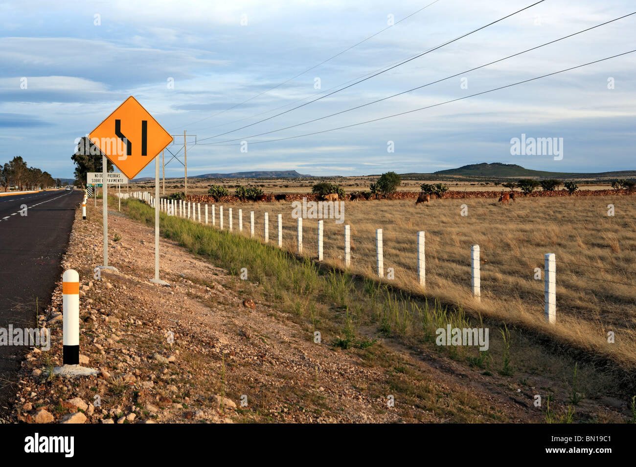Autostrada vicino a Jerez de Garcia Salinas, membro Zacatecas, Messico Foto Stock