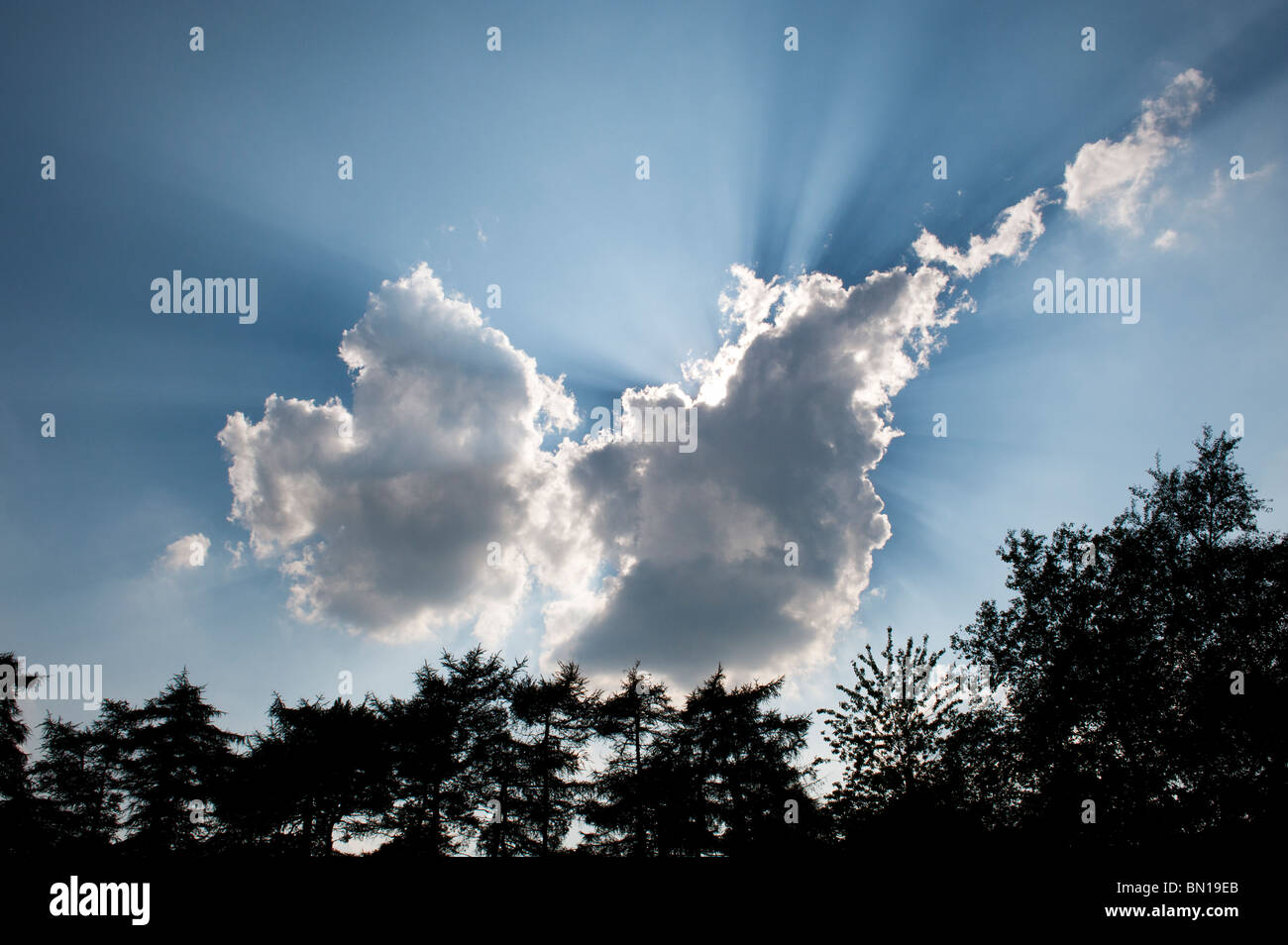 Drammatica sunray dietro una nuvola nella campagna inglese. Oxfordshire, Inghilterra Foto Stock