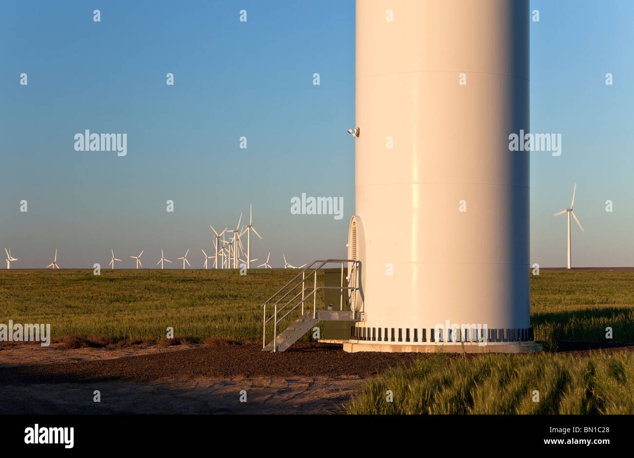 Tower entry, wind farm, frumento. Foto Stock
