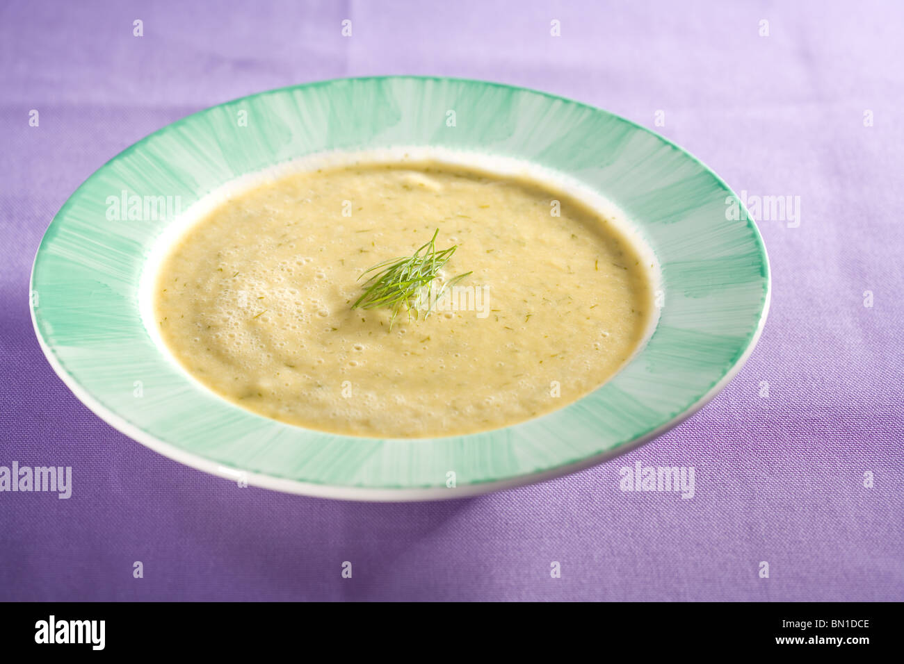 Vegano zuppa di cetriolo fatta con i cetrioli, le cipolle, aneto, latte di soia Foto Stock