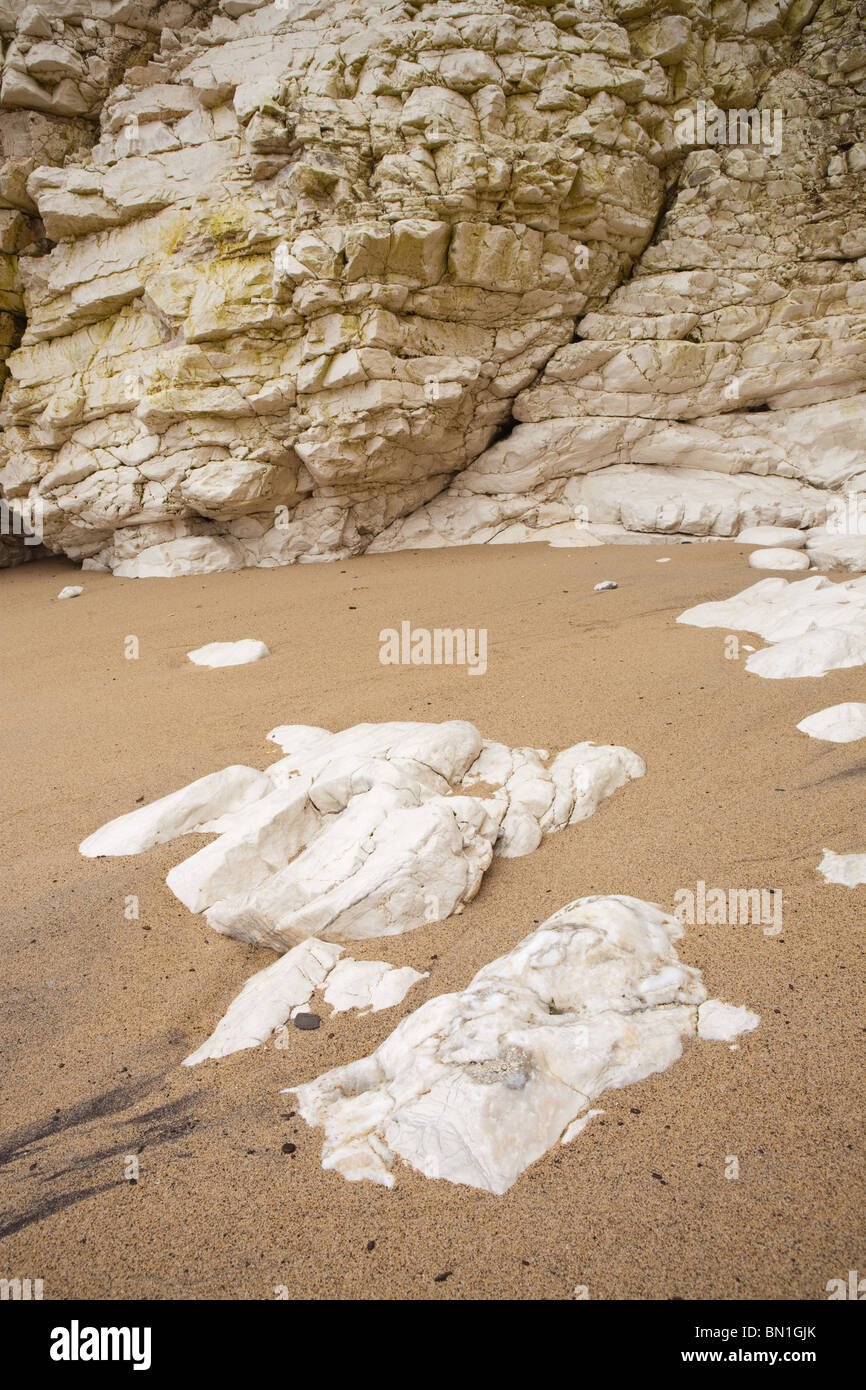 Chalk formazioni rocciose e bolders a Baia Selwicks Flamborough Head in East Yorkshire. Foto Stock