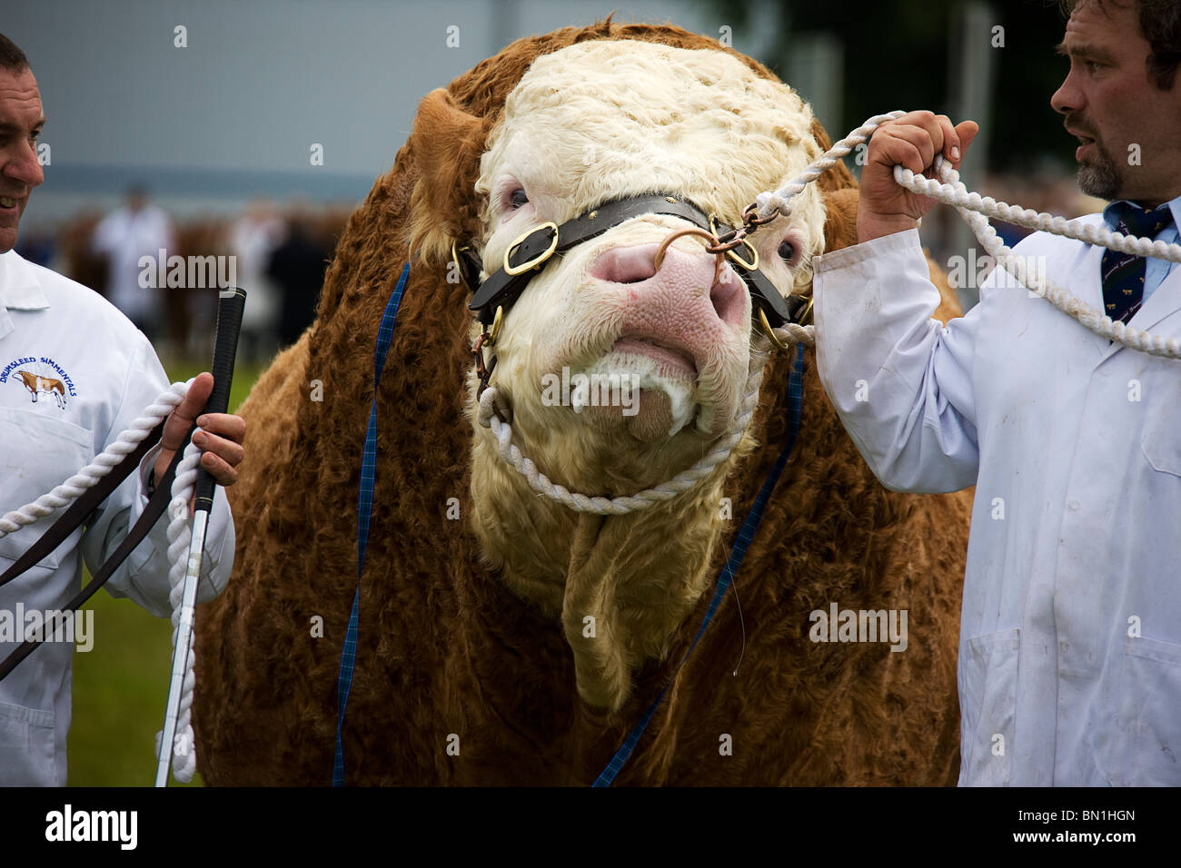 Architettura di Edimburgo Foto Stock