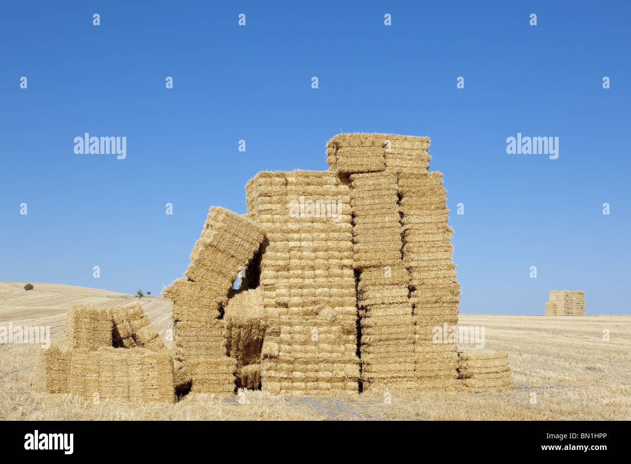 Fienile con forma quadrata stack su colonne texture di cereali Foto Stock