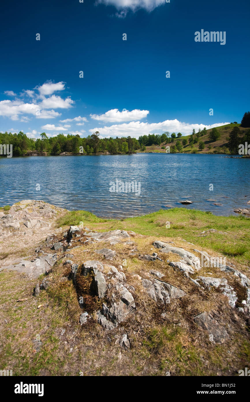 Visualizzazione classica del Tarn Howes su una giornata d'estate nel Lake District inglese. Foto Stock