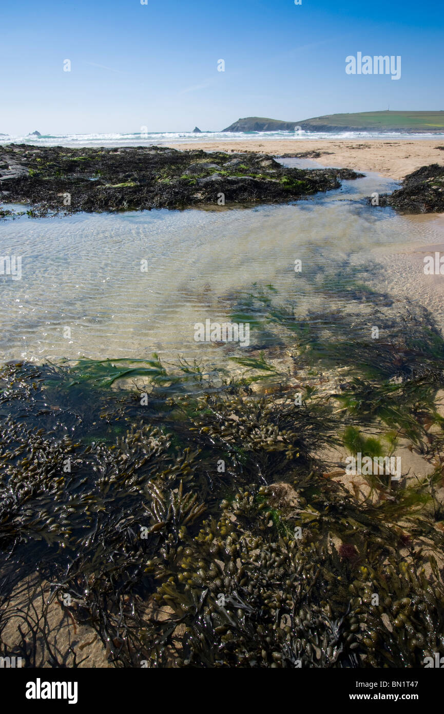 Rockpools e spiaggia a Constantine Bay, Cornwall, Regno Unito Foto Stock