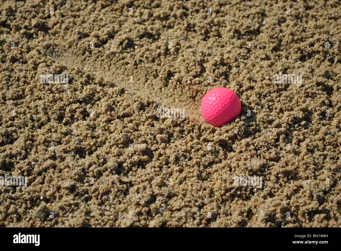 Rosa pallina da golf in una trappola di sabbia lasciando una scia nella sabbia Foto Stock