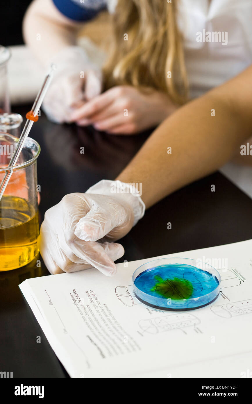 Studente condurre la scienza esperimento utilizzando piastre petri Foto Stock