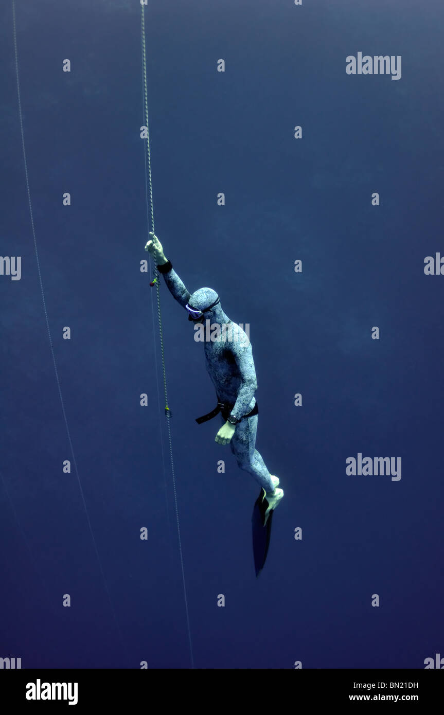 Freediver solleva lentamente dalla profondità tramite fune di sicurezza Foto Stock