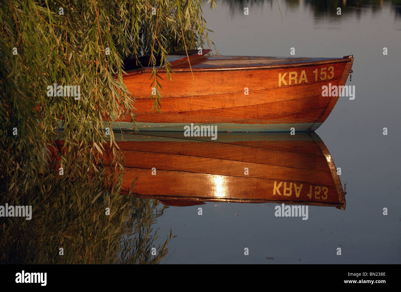 Un vuoto che la barca di legno sotto un salice, Prangendorf, Germania Foto Stock