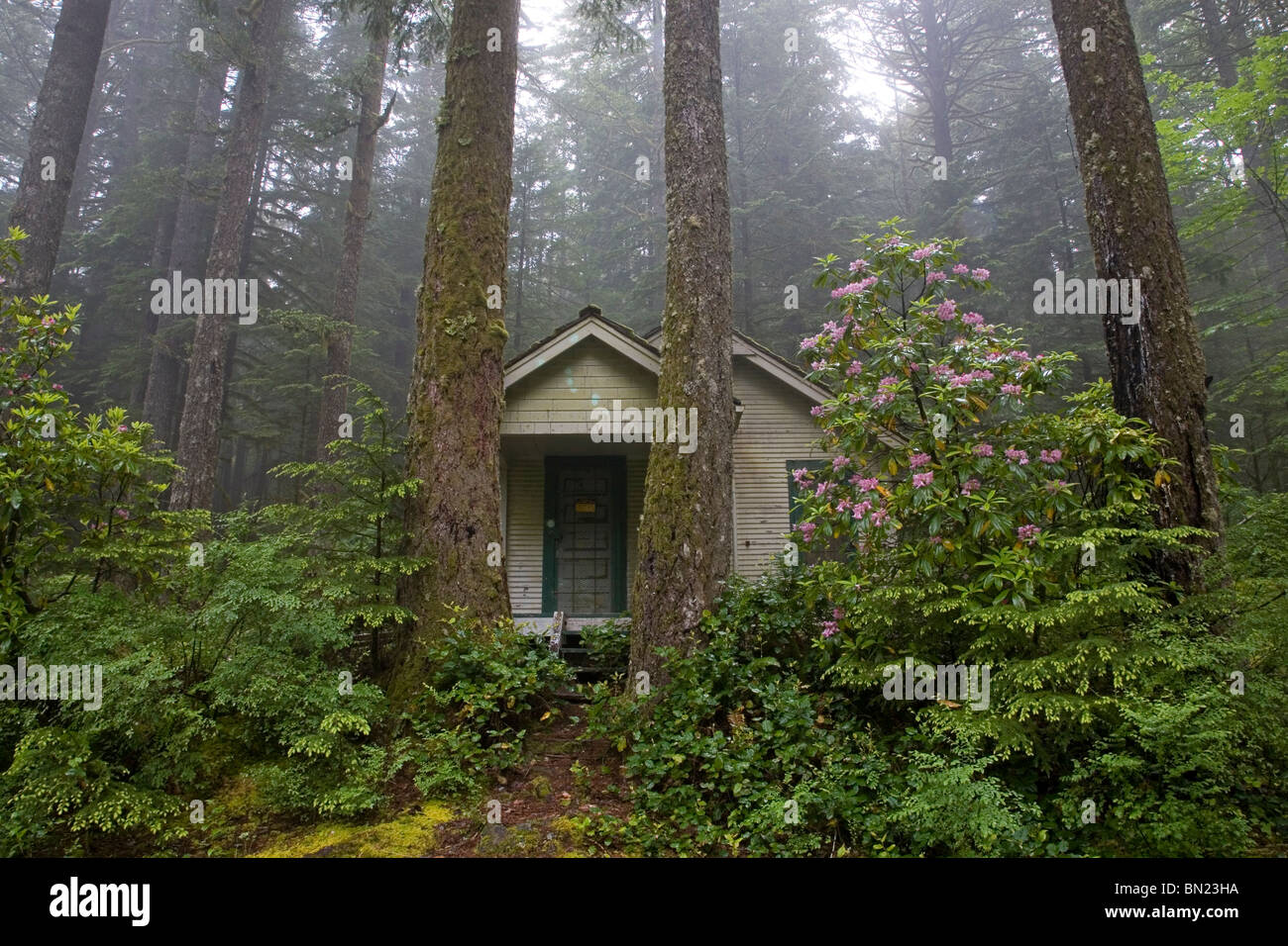 Una cabina in una foresta sempreverde, Oregon Cascades Foto Stock