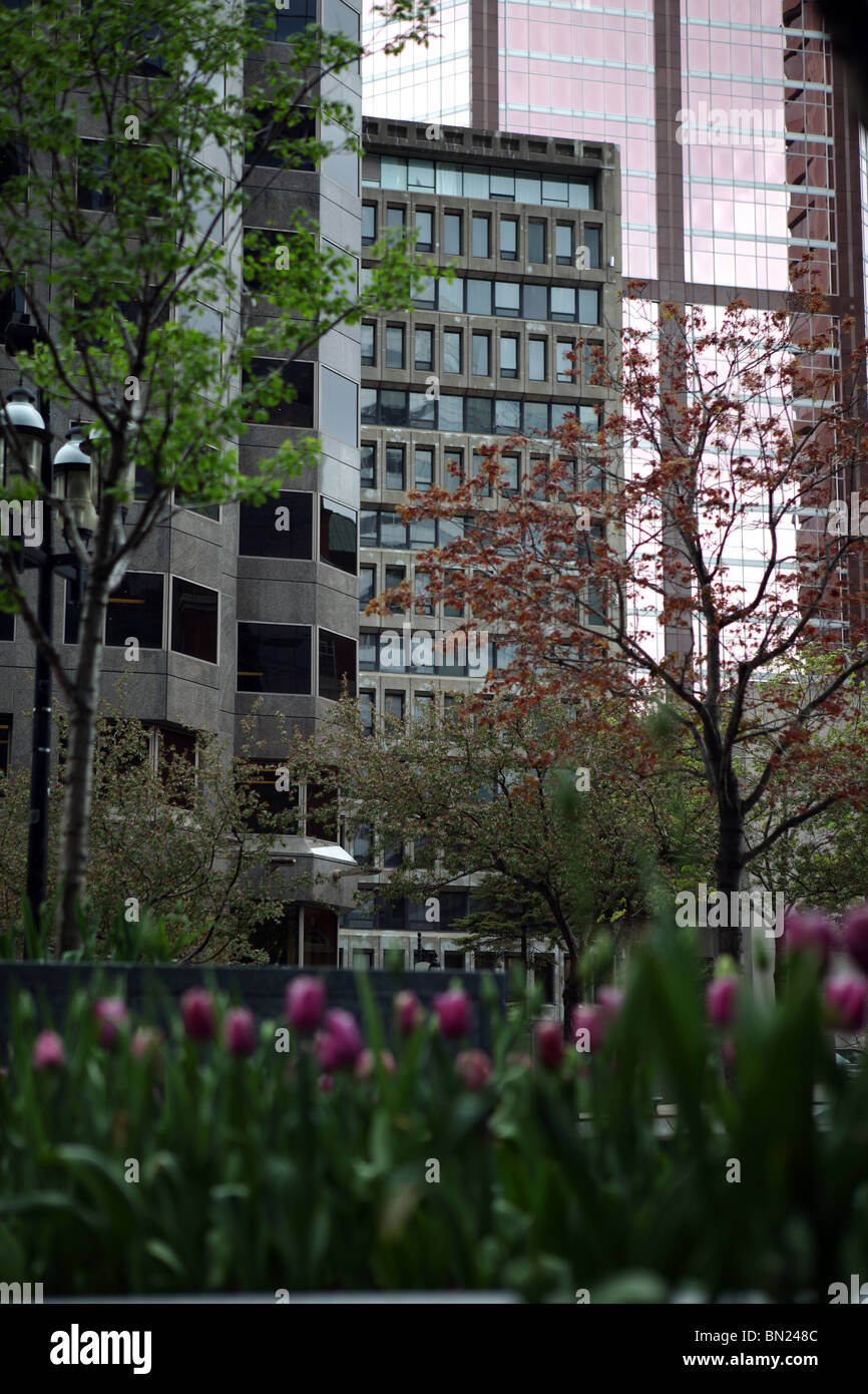 Un moderno edificio di McGill College Avenue con tulipani rosa in primo piano - Montreal - Québec - Canada Foto Stock