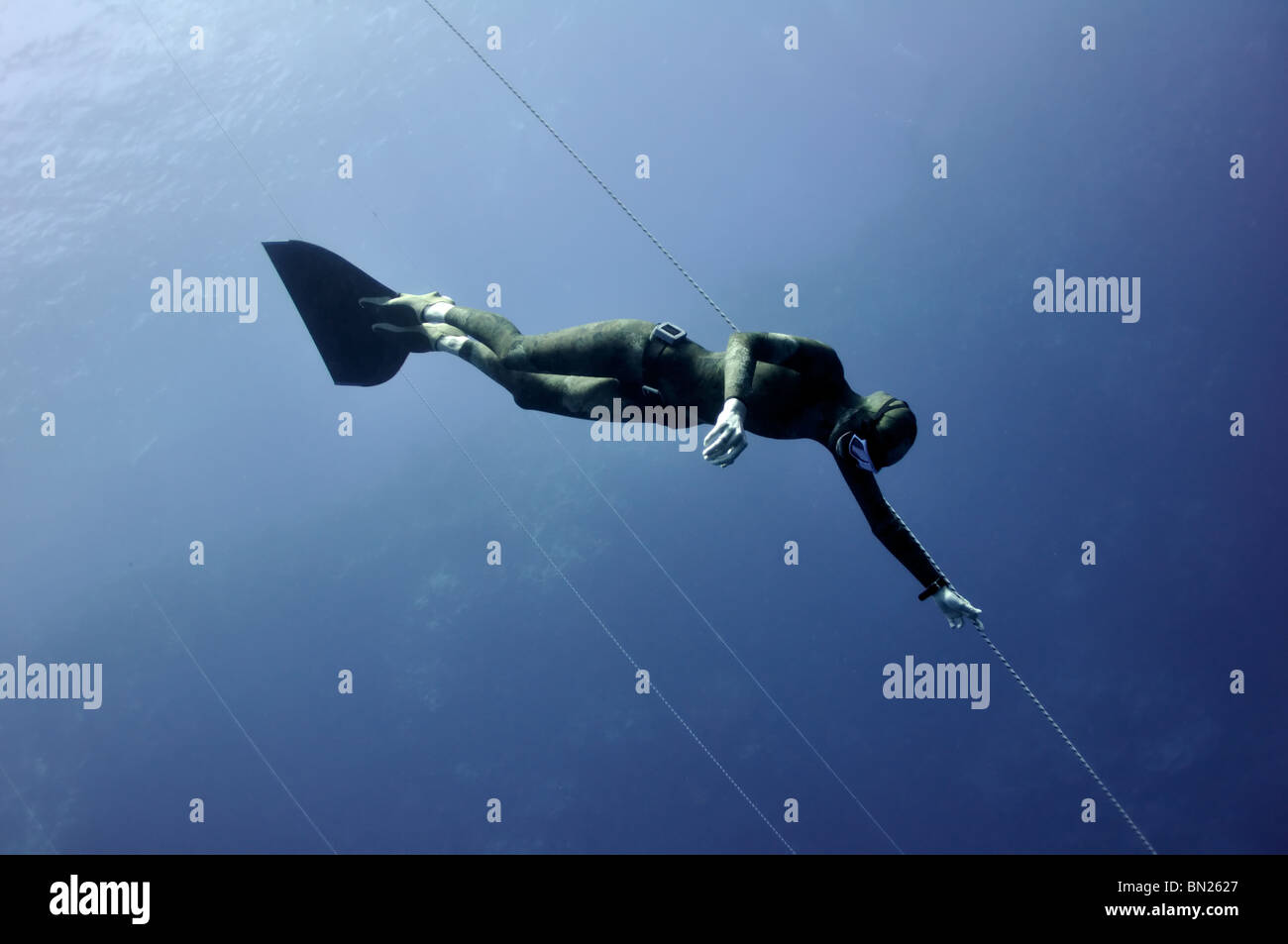 Freediver-donna si blocca nella profondità del mare rosso senza alcun movimento Foto Stock