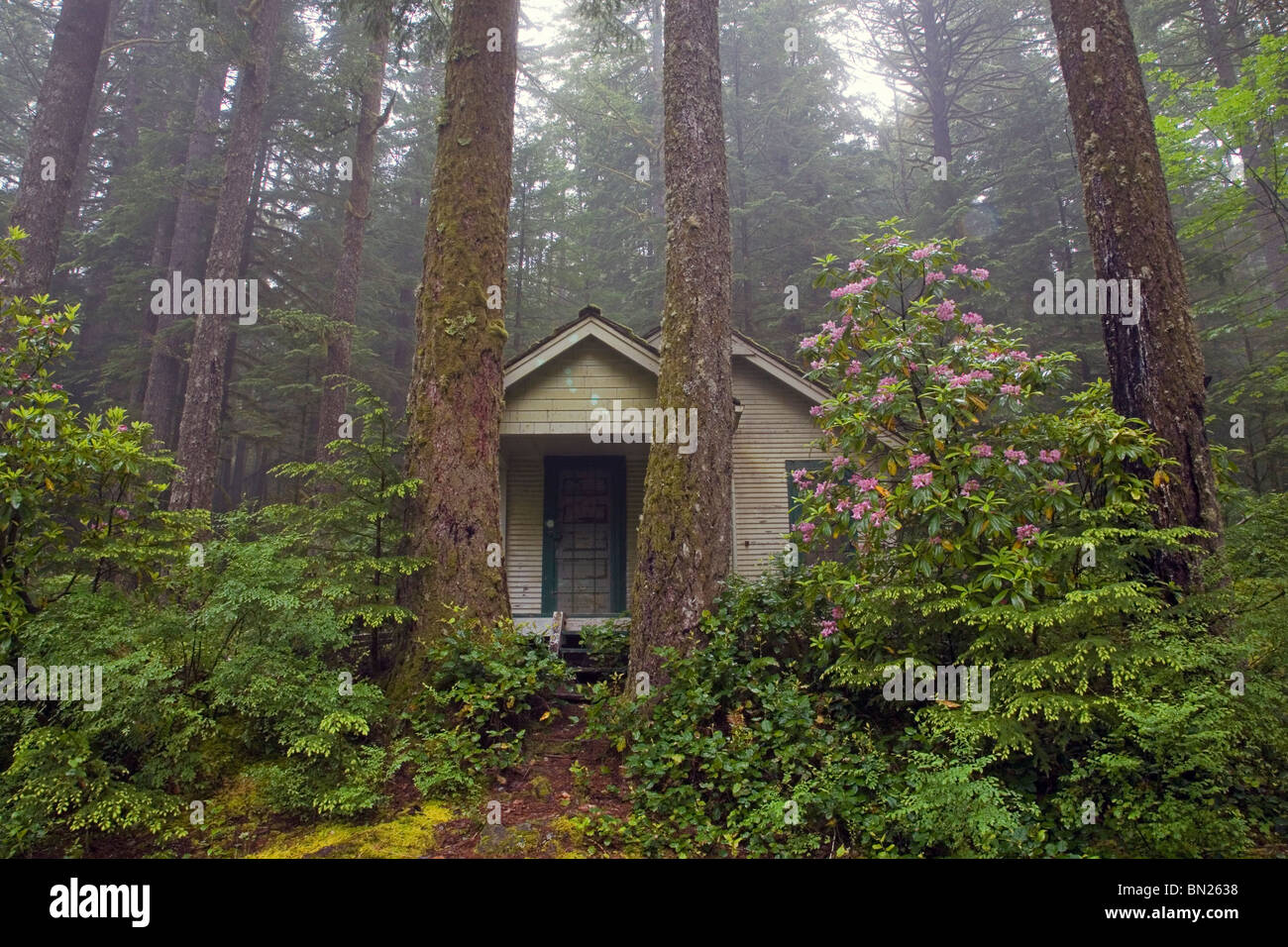 Una cabina in una foresta sempreverde, Oregon Cascades Foto Stock