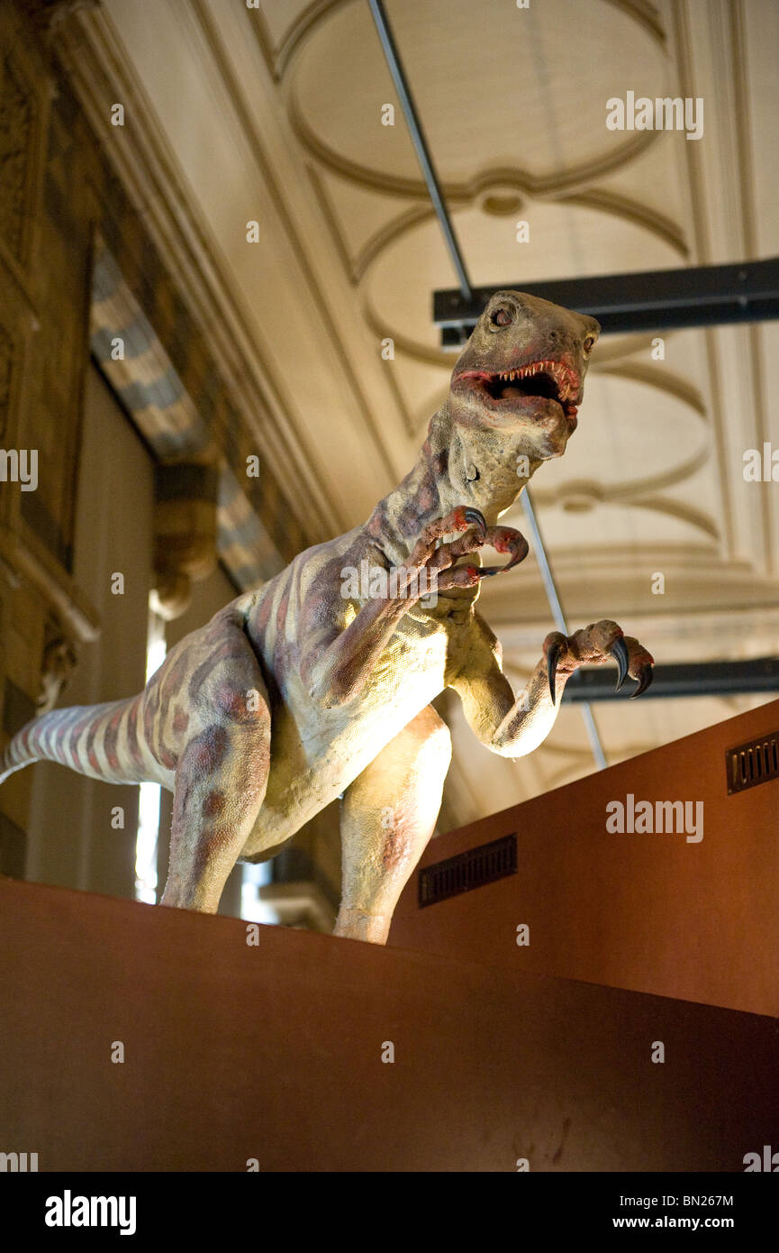 Dinosauro Animatronic Realistico Immagini e Fotos Stock - Alamy