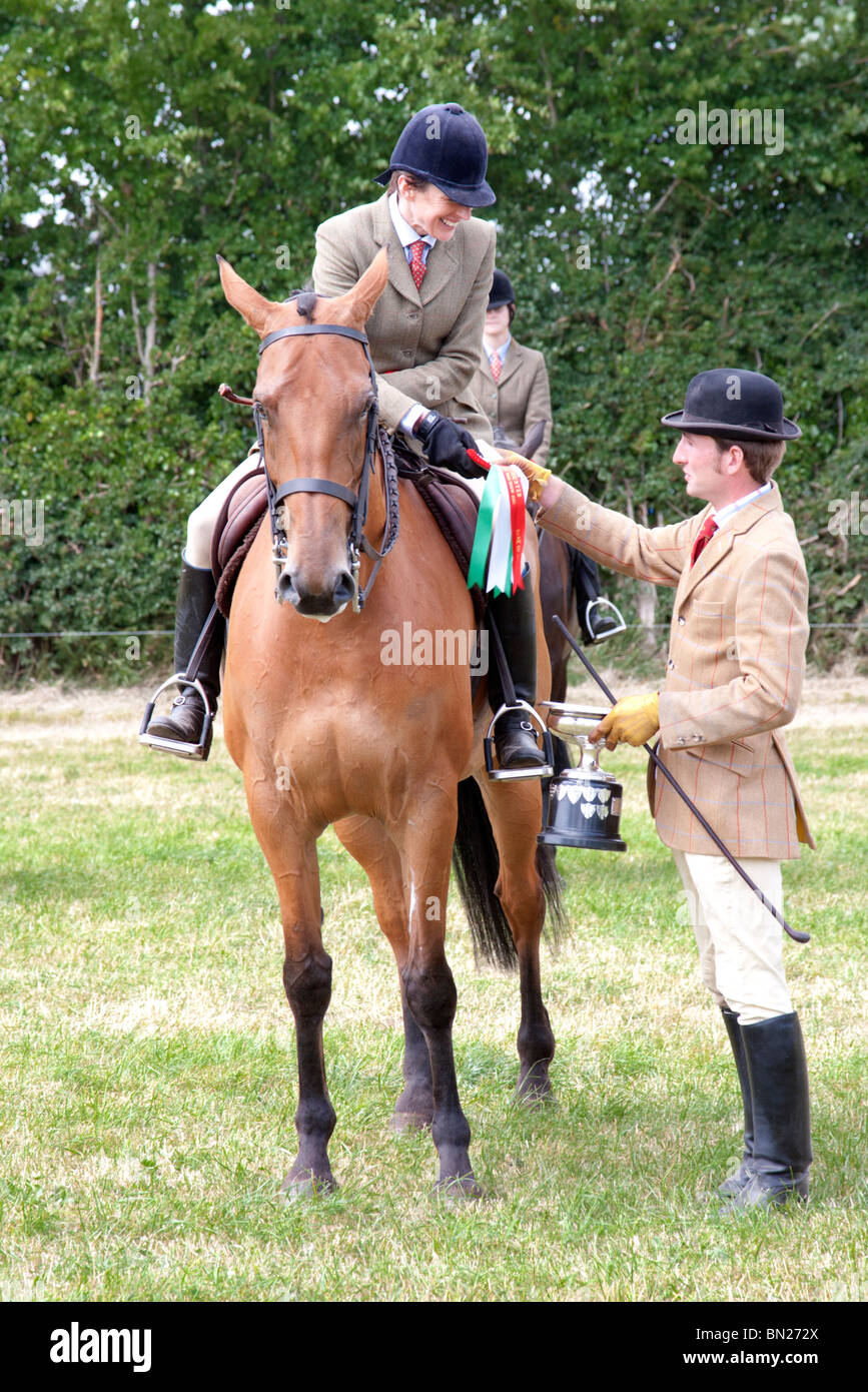 Show Jumping a Irish agricultural show, County Limerick Irlanda Foto Stock