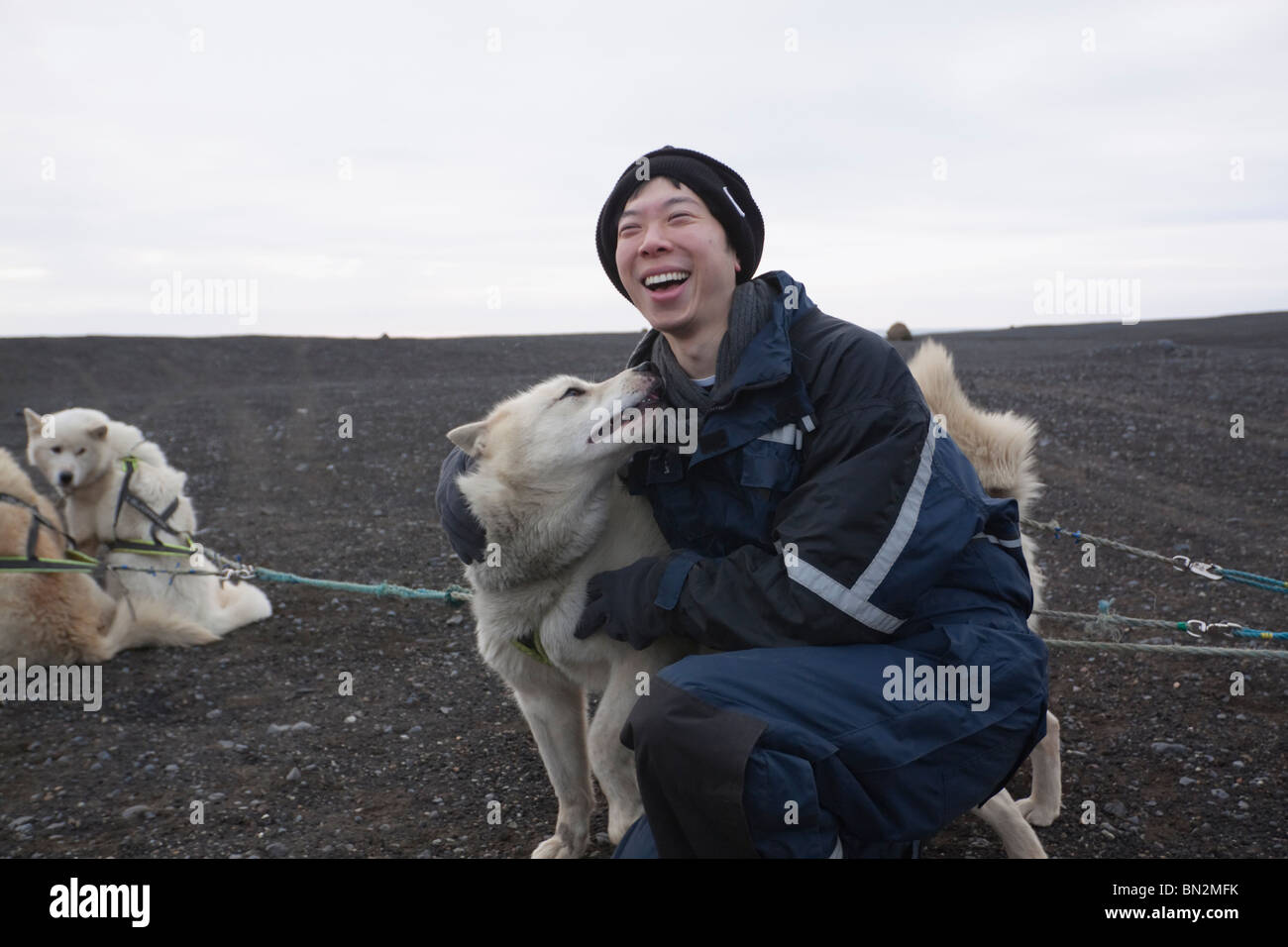 Uomo cinese petting cane in slitta trainata da cani pack Foto Stock