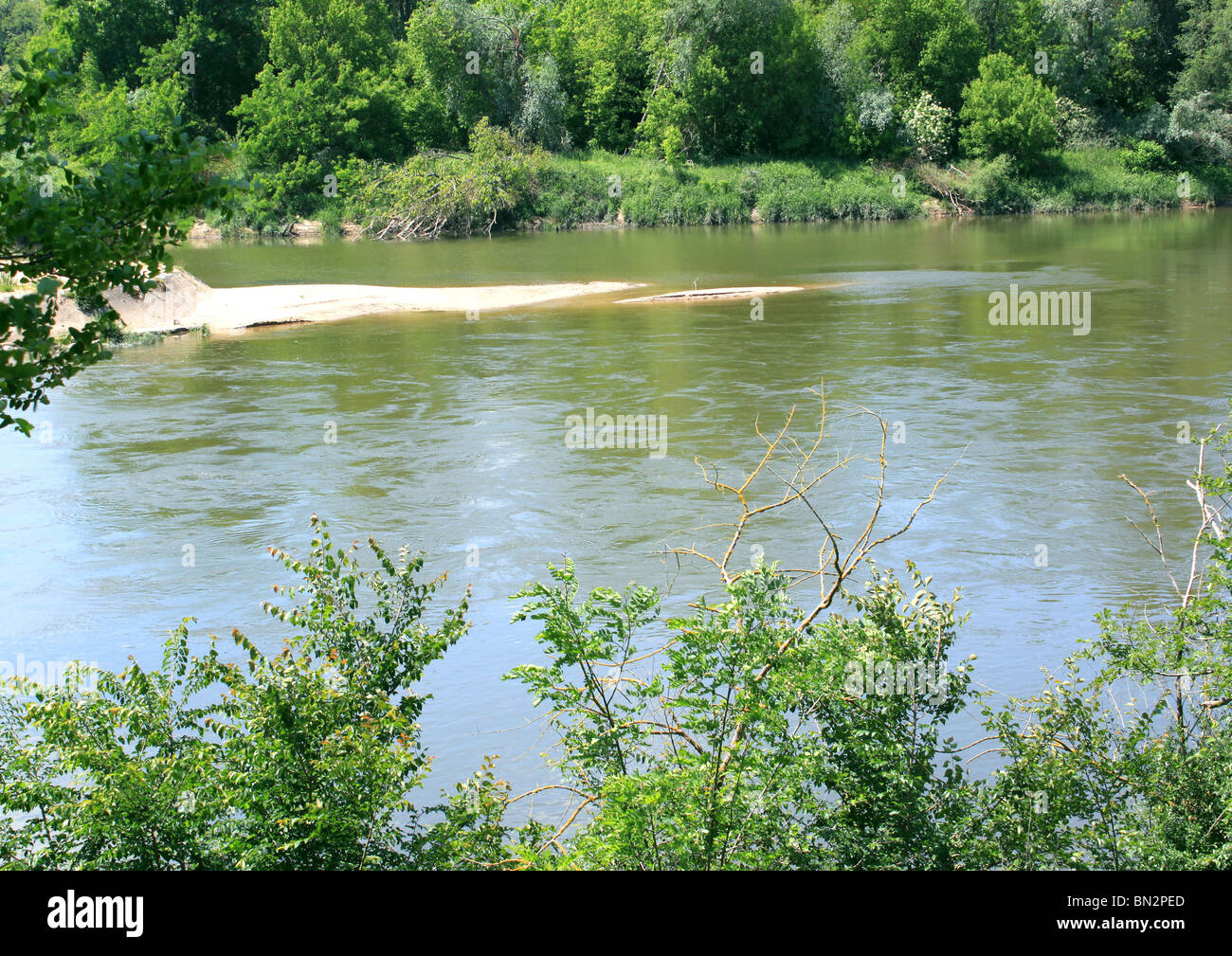 Fotografia di un fiume o di un fiume bordata di alberi e vegetazioni Foto Stock