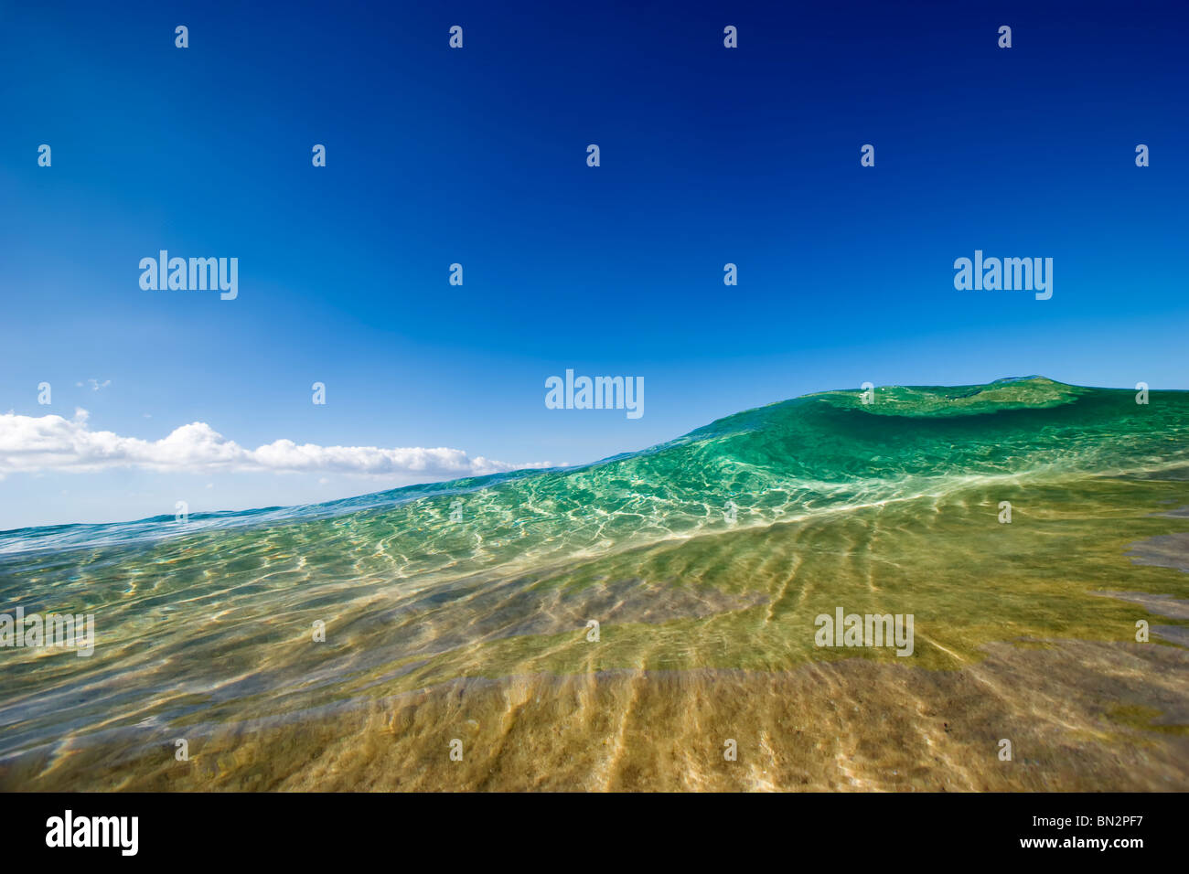 Un'onda si rompe a Maui in acqua chiara Foto Stock