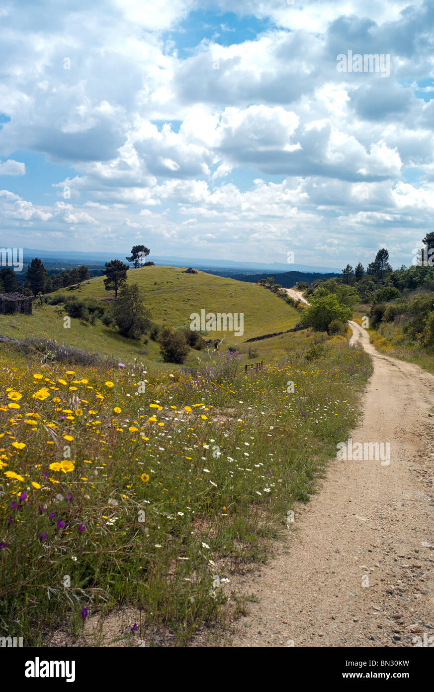 No. Villanueva de la Vera, la Vera, Estremadura, Spagna Foto Stock