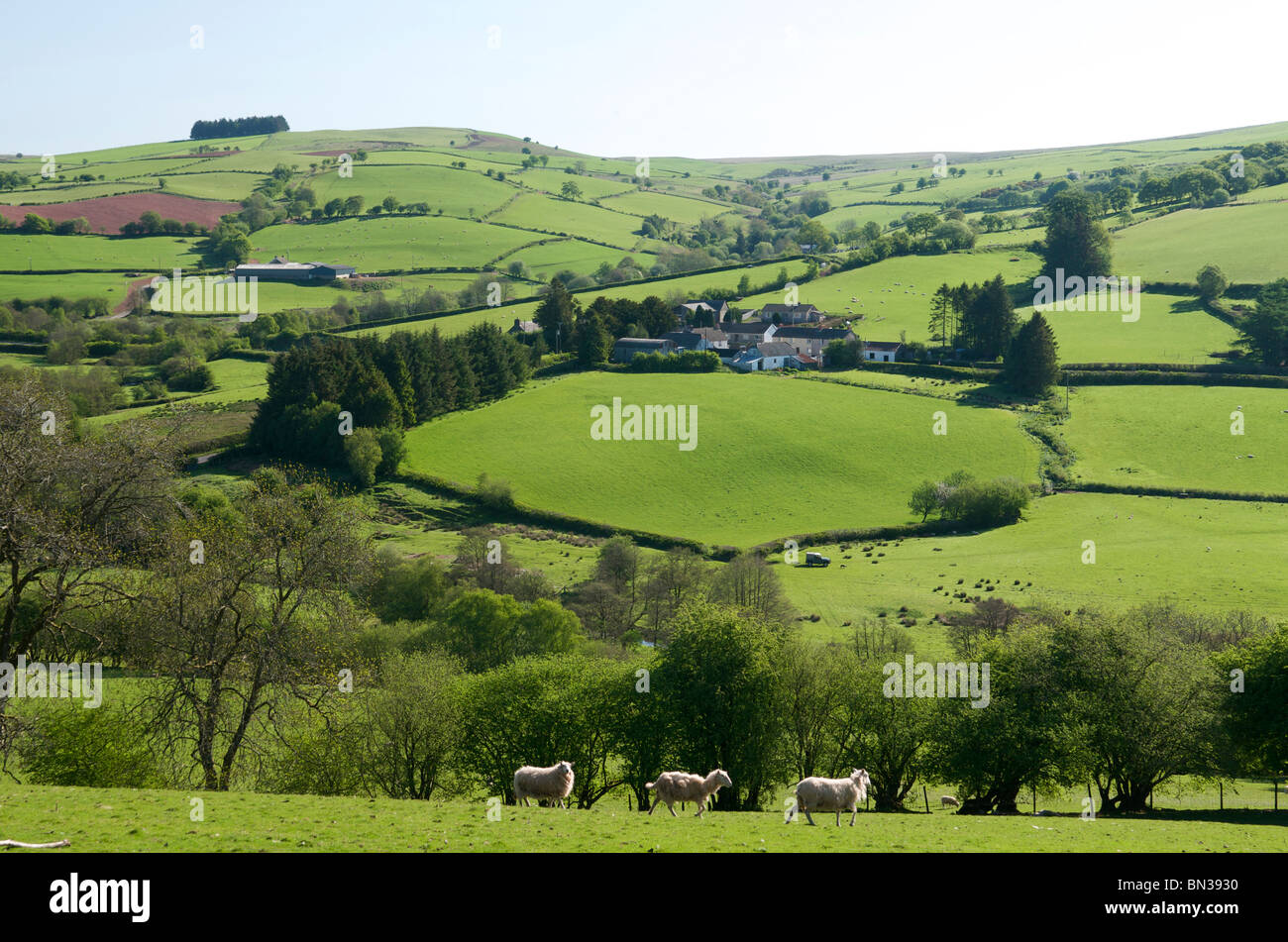 No. Merthyr Cynog, Powys, Wales, Regno Unito Foto Stock