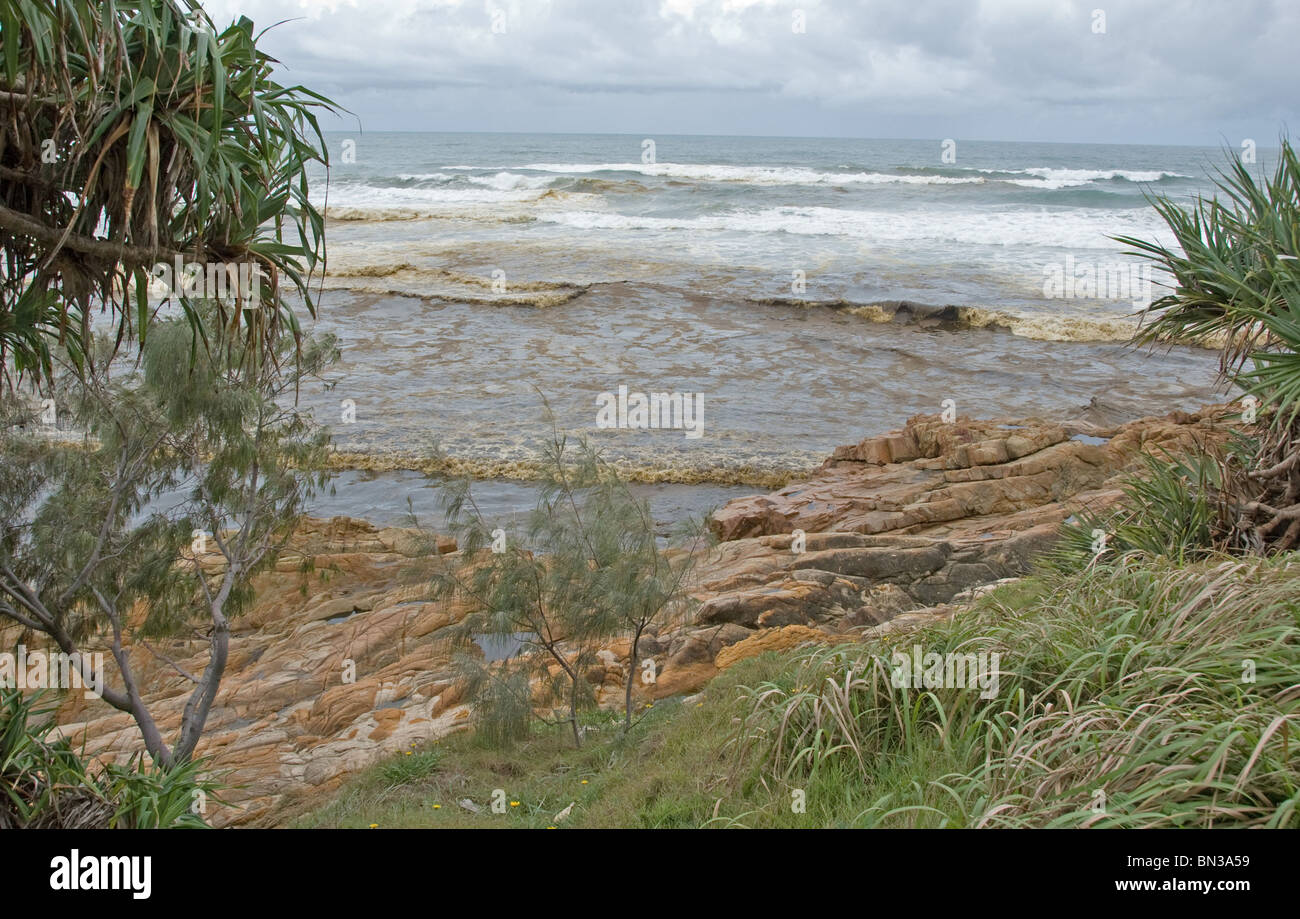 Impatto dell'olio - Reportage, il nostro impatto sull'ambiente - da fuoriuscite di olio ha un devastante effetto sulla vita marina. Foto Stock
