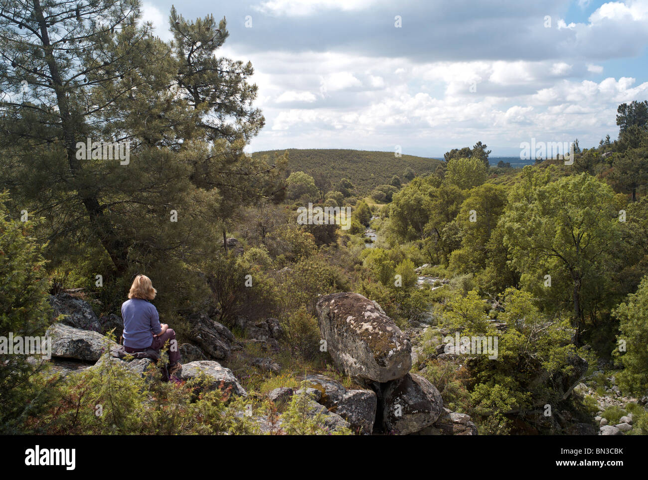 River Valley vicino a Villanueva de la Vera, la Vera, Estremadura, Spagna Foto Stock