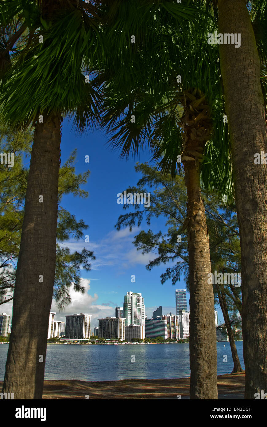 Brickell Avenue, il quartiere finanziario torri di uffici e condomini su Biscayne Bay a Miami, Florida, Stati Uniti d'America Foto Stock